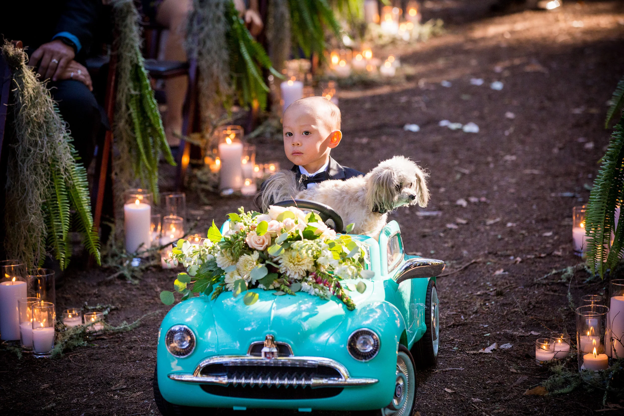 scottcampbellphoto-534.jpg