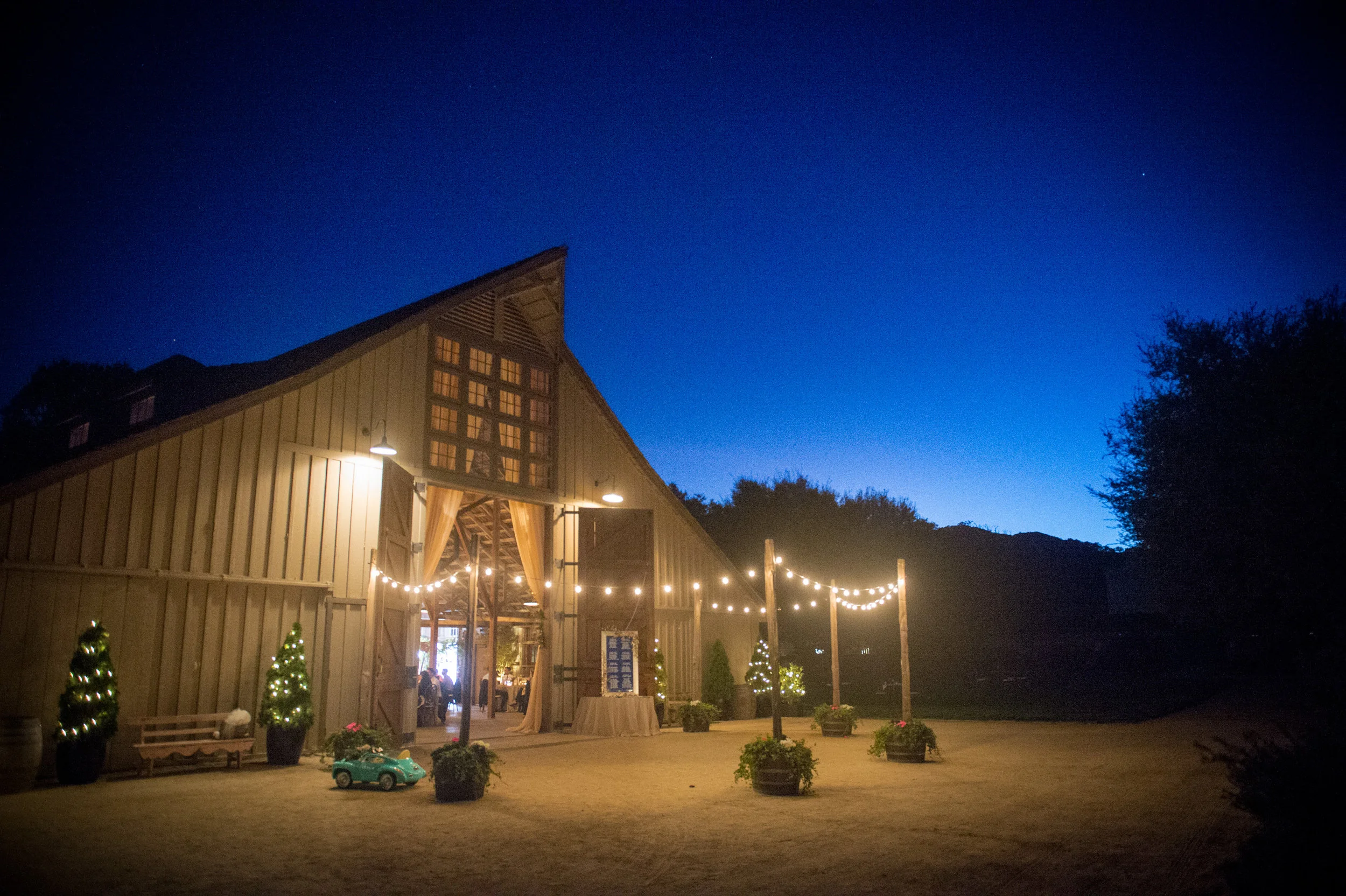 scottcampbellphoto-883.jpg