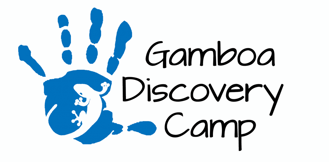handprint-logo-white_1_orig.png