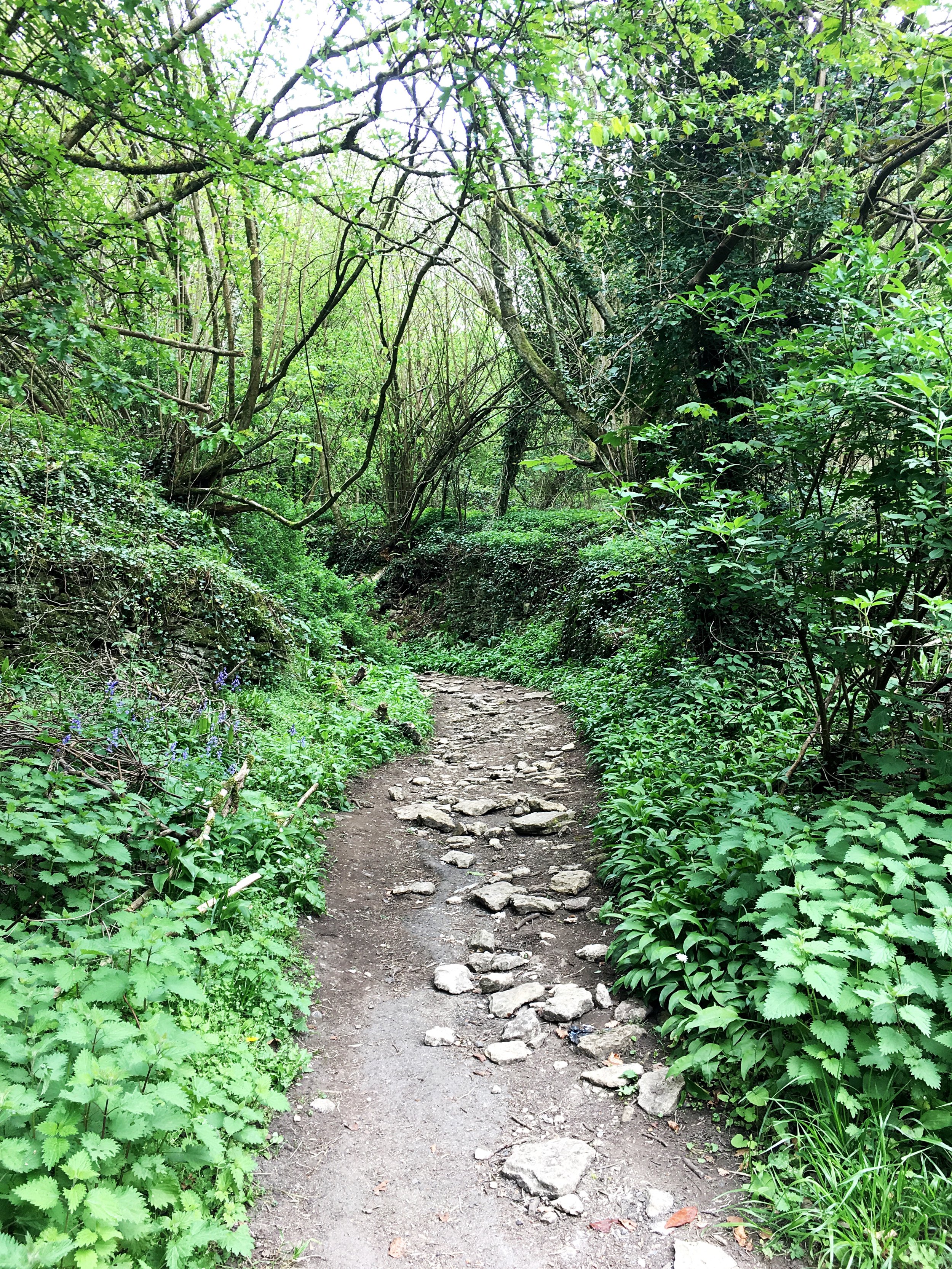 Hiking around Castle Combe