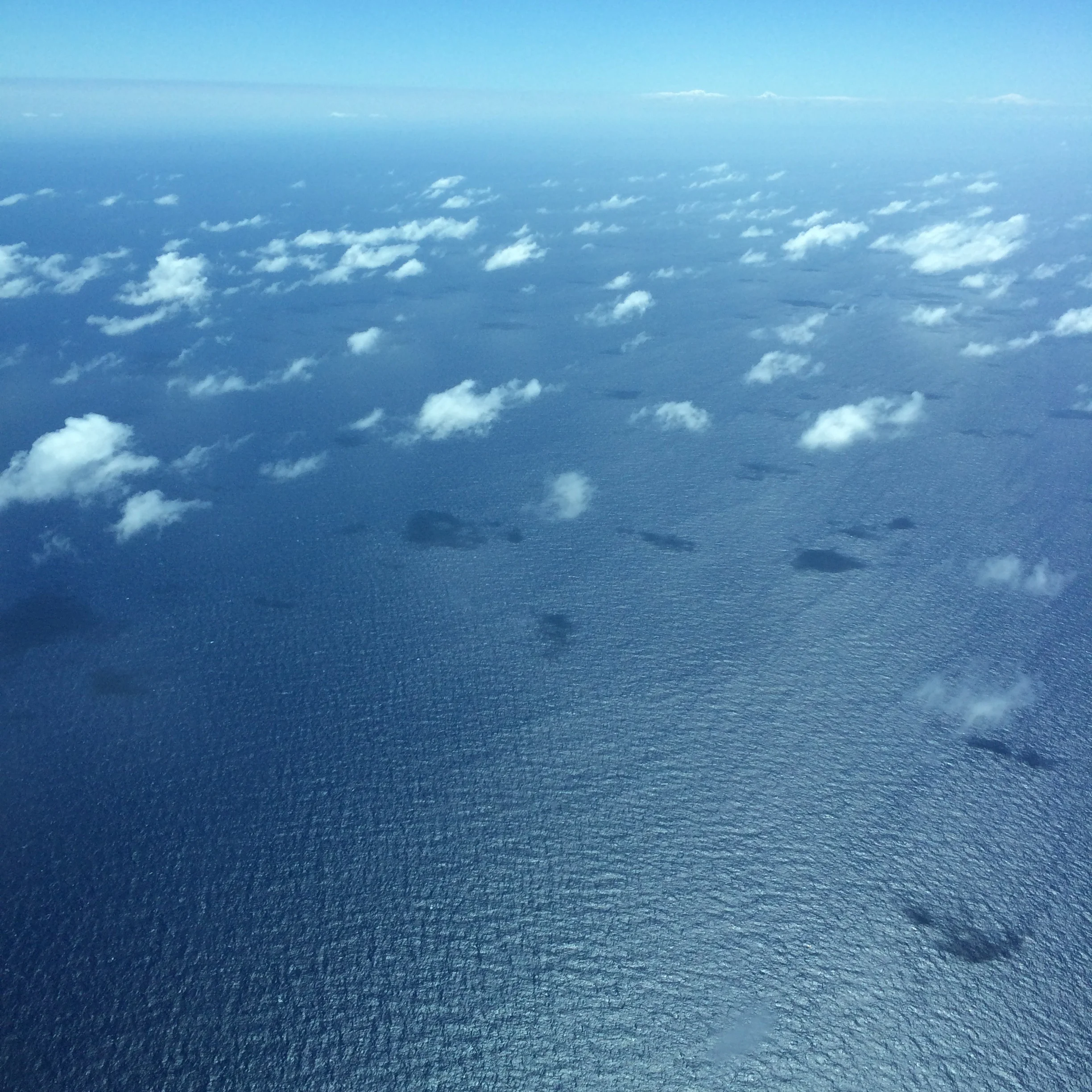 10 Packable Foods to Bring with You to Maintain a Healthy Diet on the Road