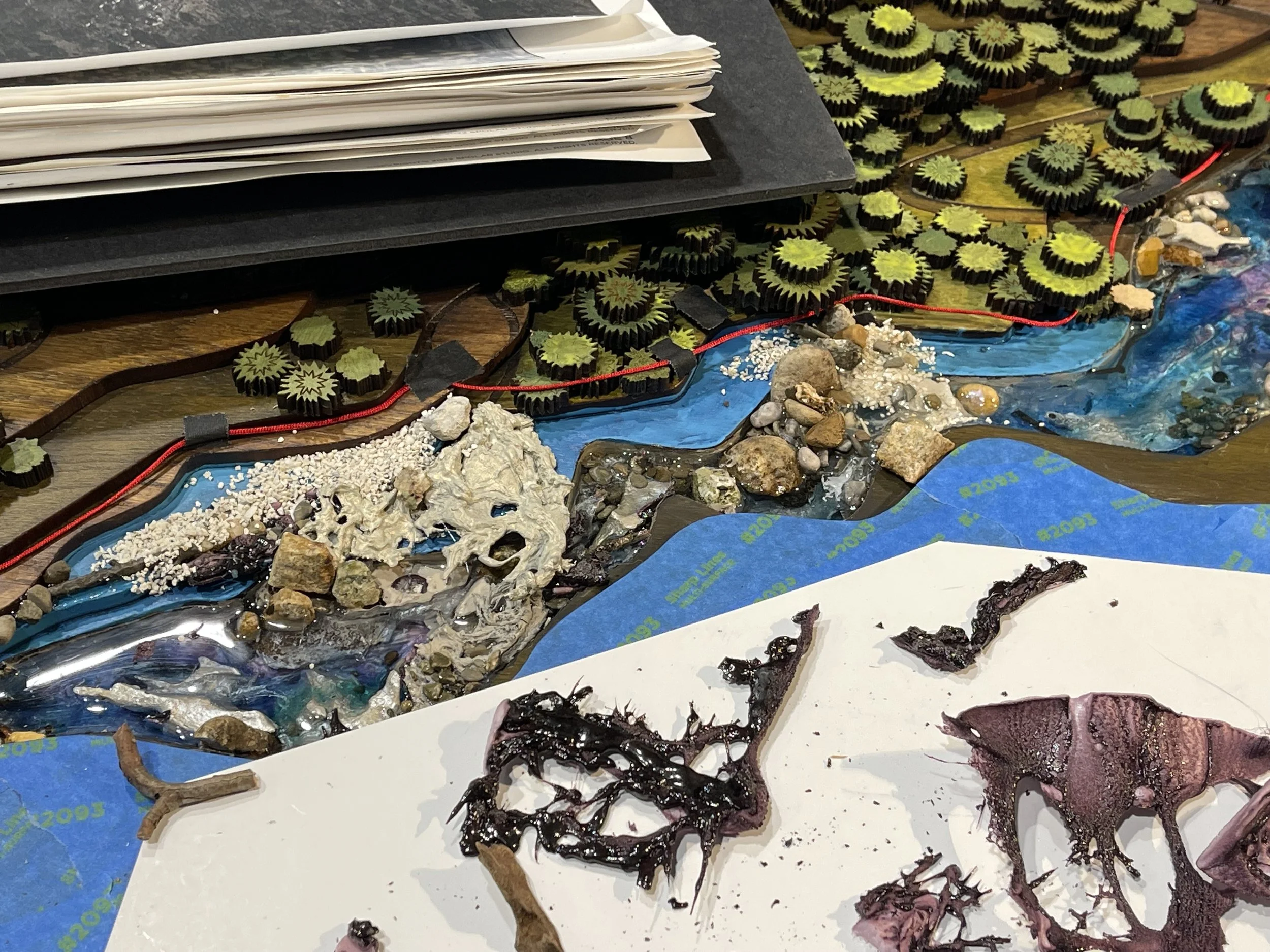 Camp Towanga | Donor Recognition Map | Groveland California