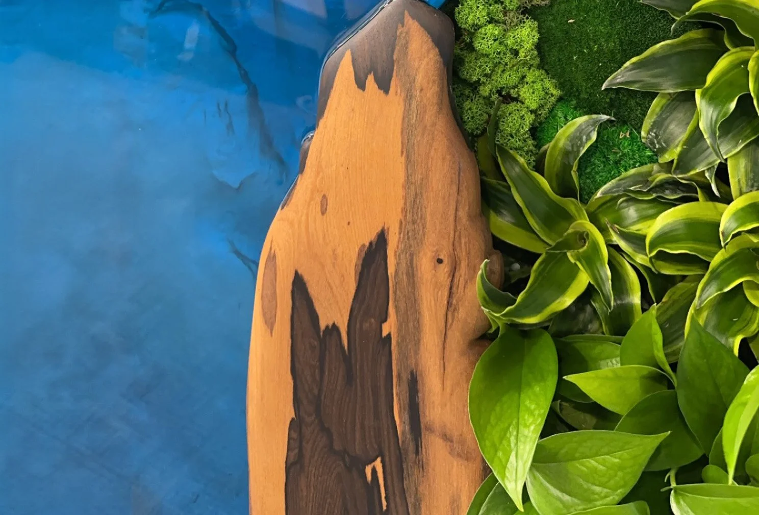 Live botanical elements and found objects incorporated into a custom experiential installation.