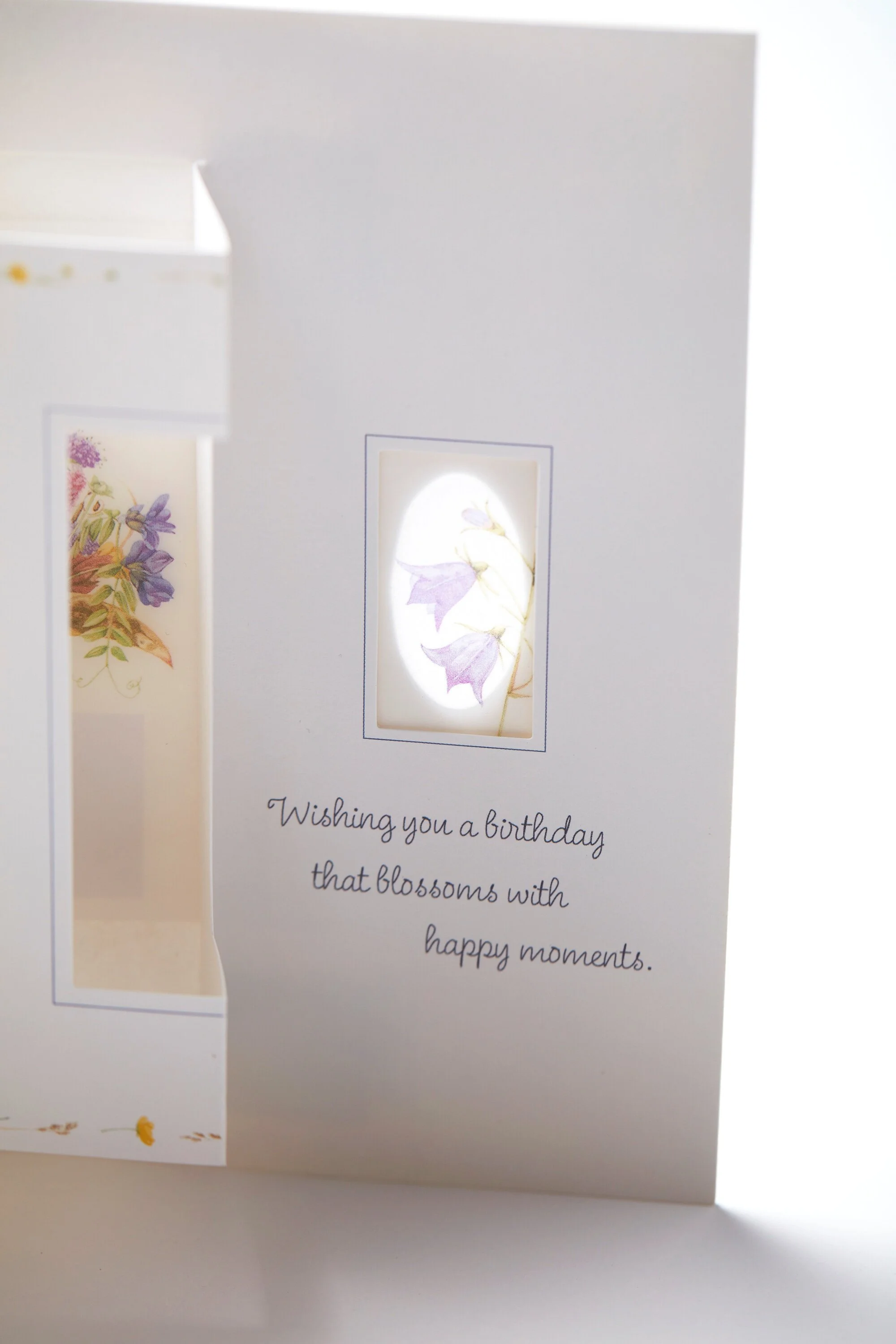 Hallmark+8.jpg