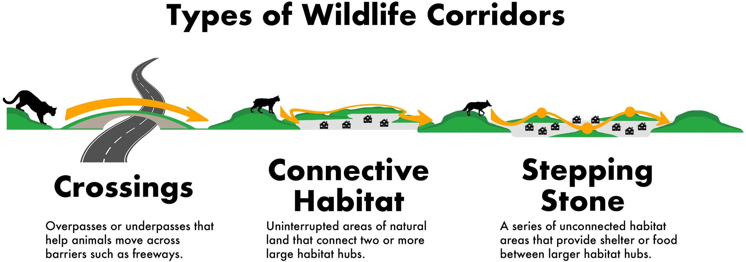 types-of-connectivity.jpg