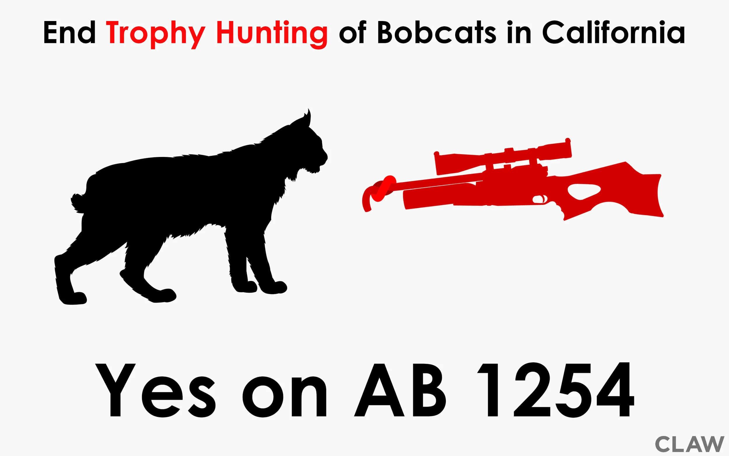 ab-1254.jpg