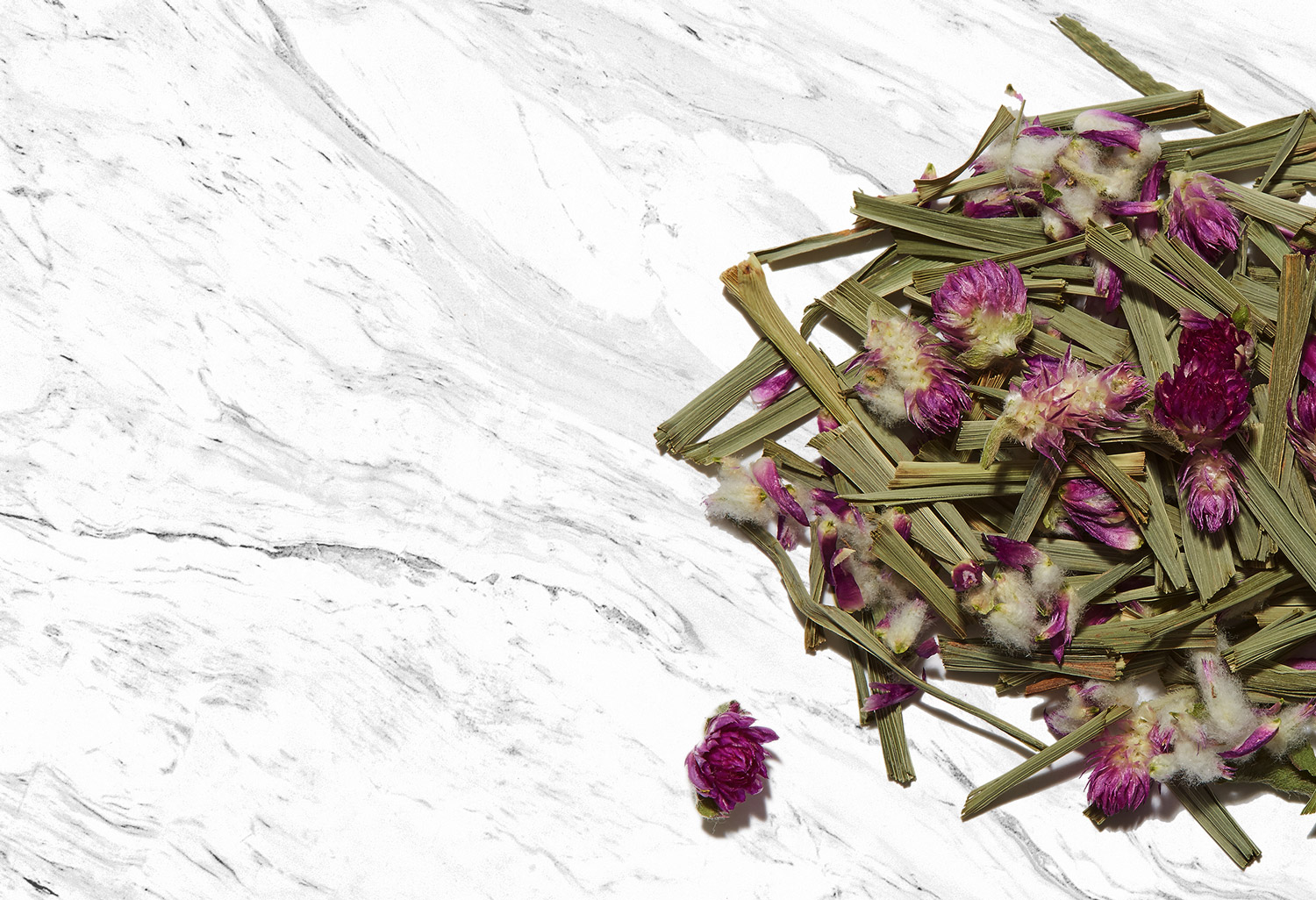 teas_home_image_FINAL02.jpg