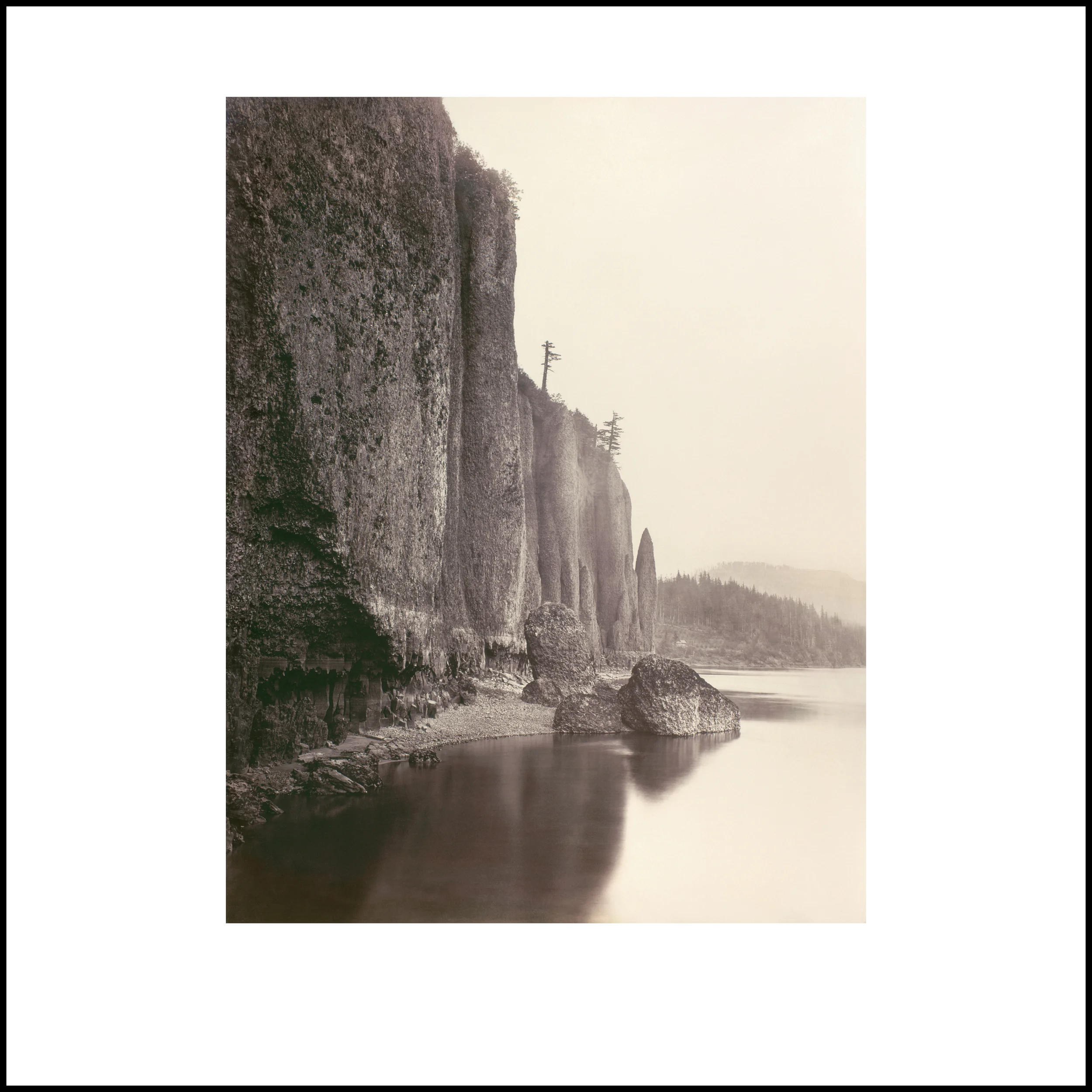 Wild Beauty, Plate 2