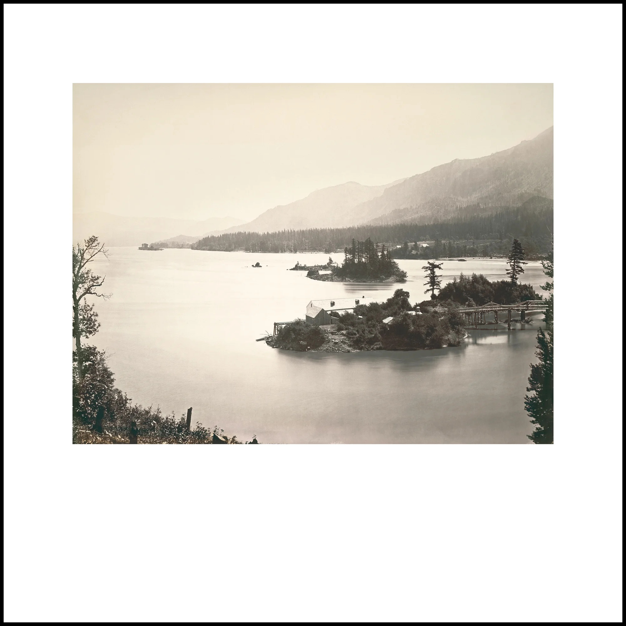 Wild Beauty, Plate 7