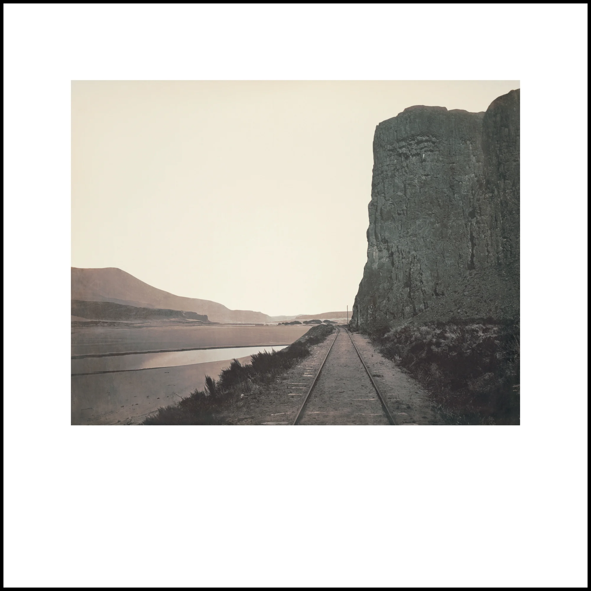 Wild Beauty, Plate 11