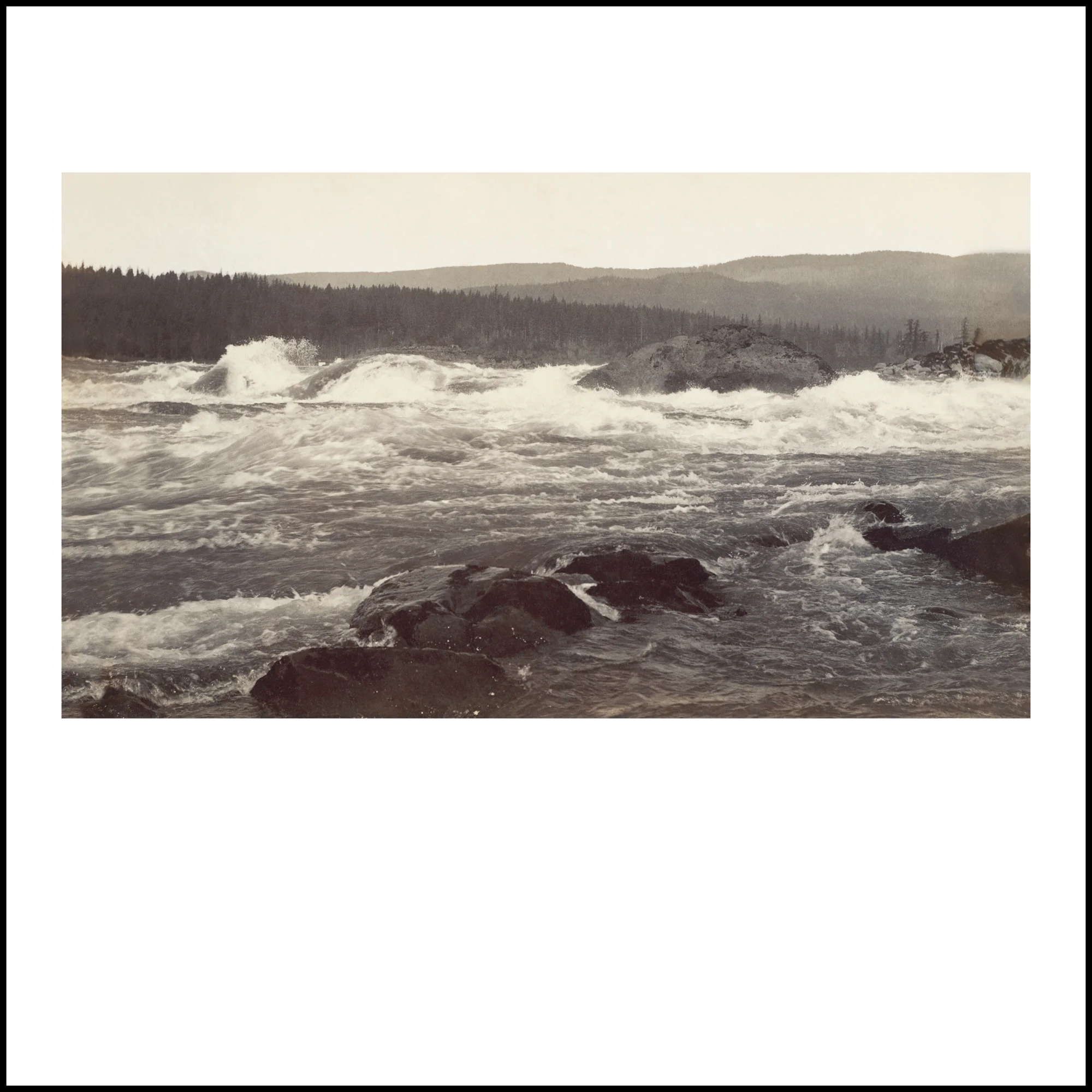 Wild Beauty, Plate 13