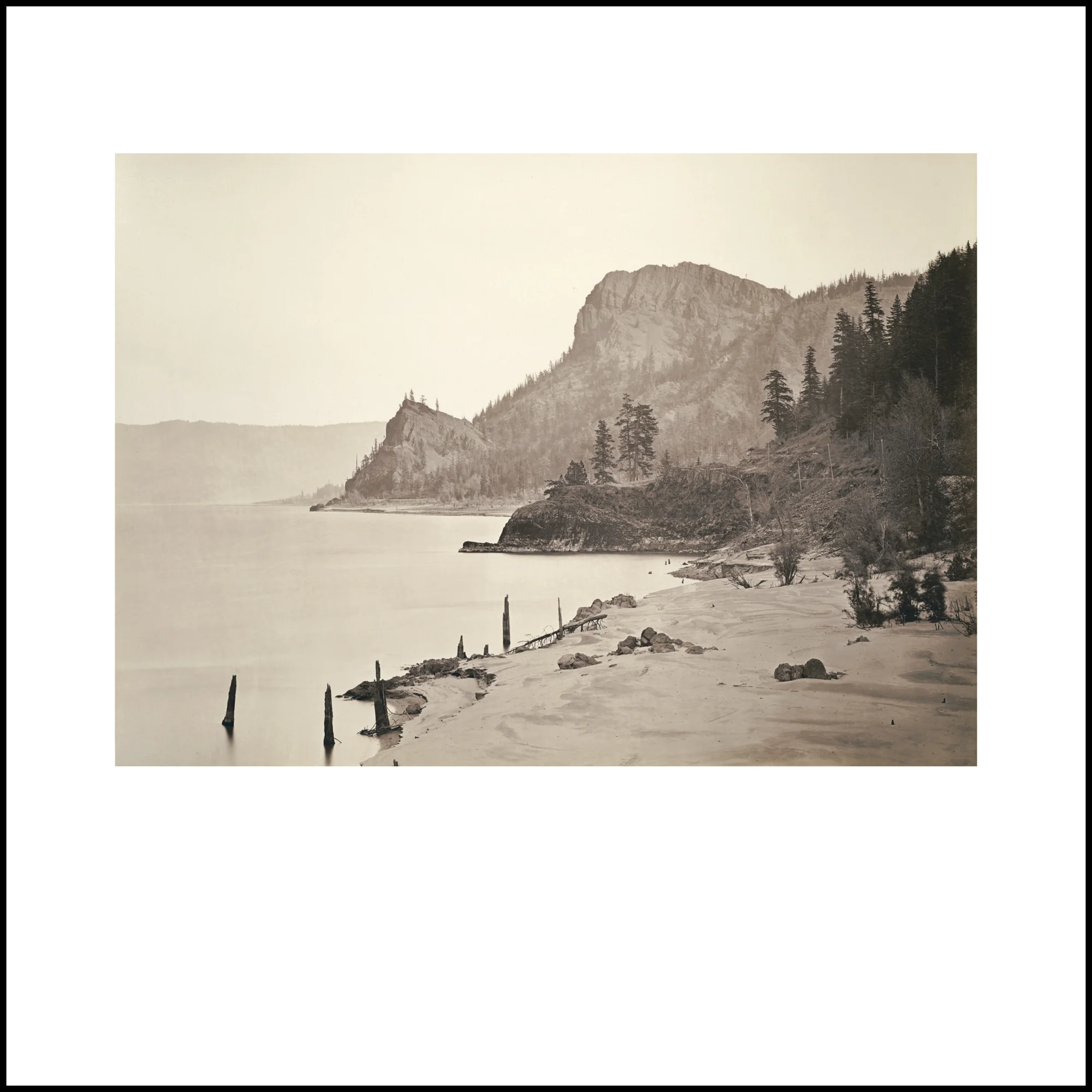 Wild Beauty, Plate 20