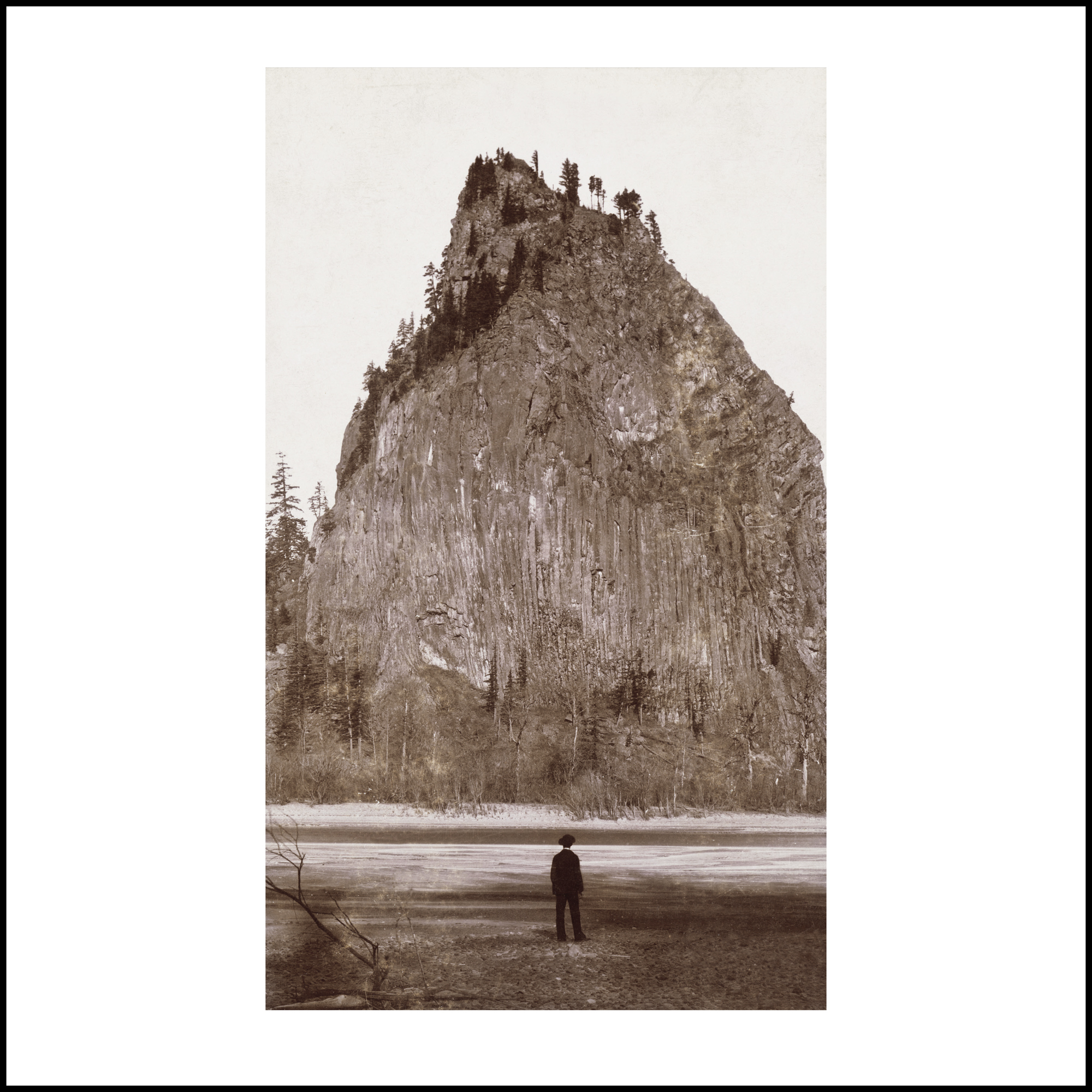 Wild Beauty, Plate 31