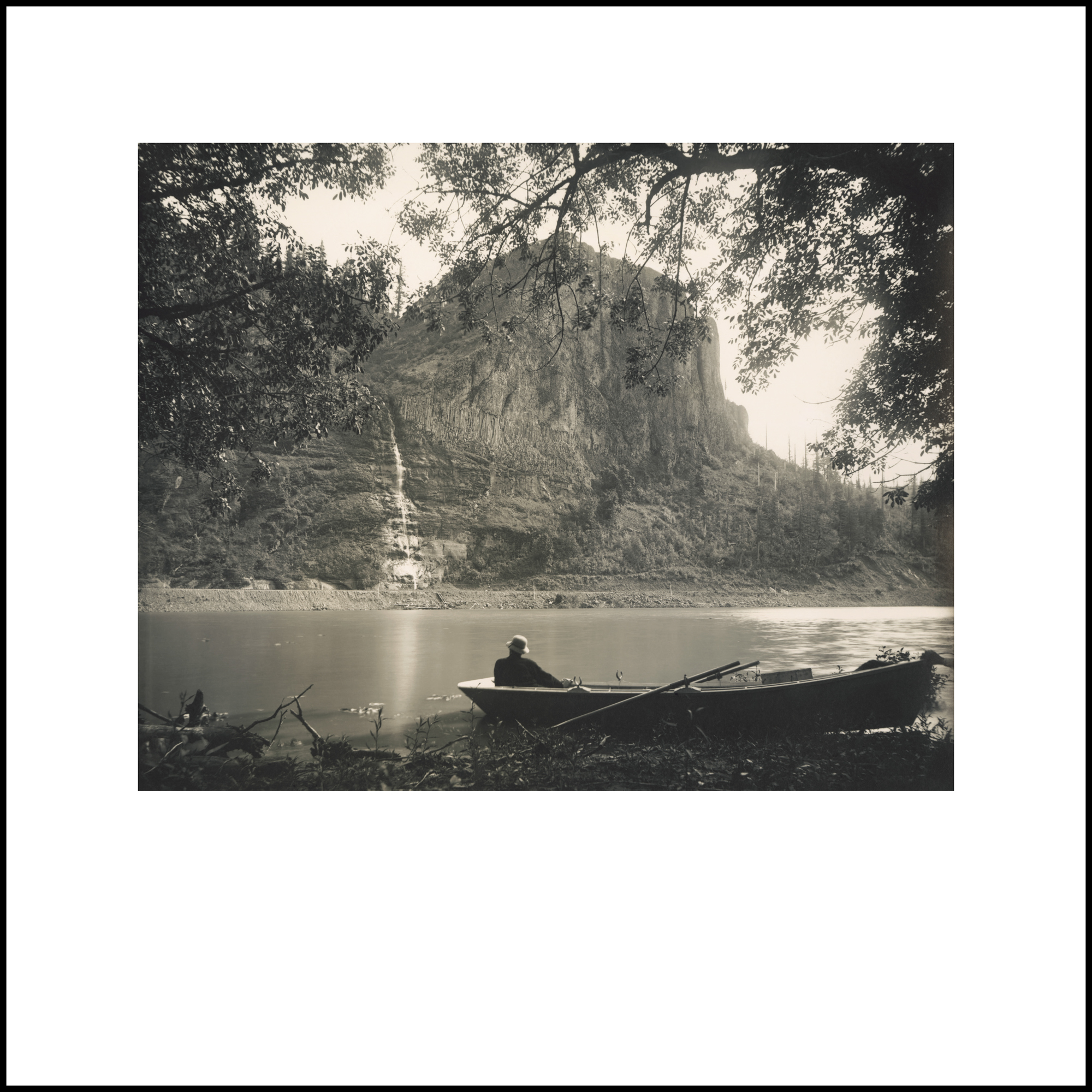 Wild Beauty, Plate 33