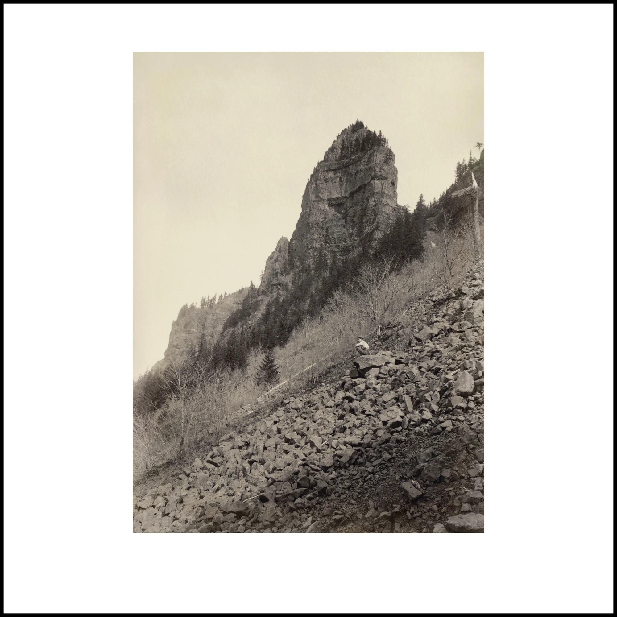 Wild Beauty, Plate 34