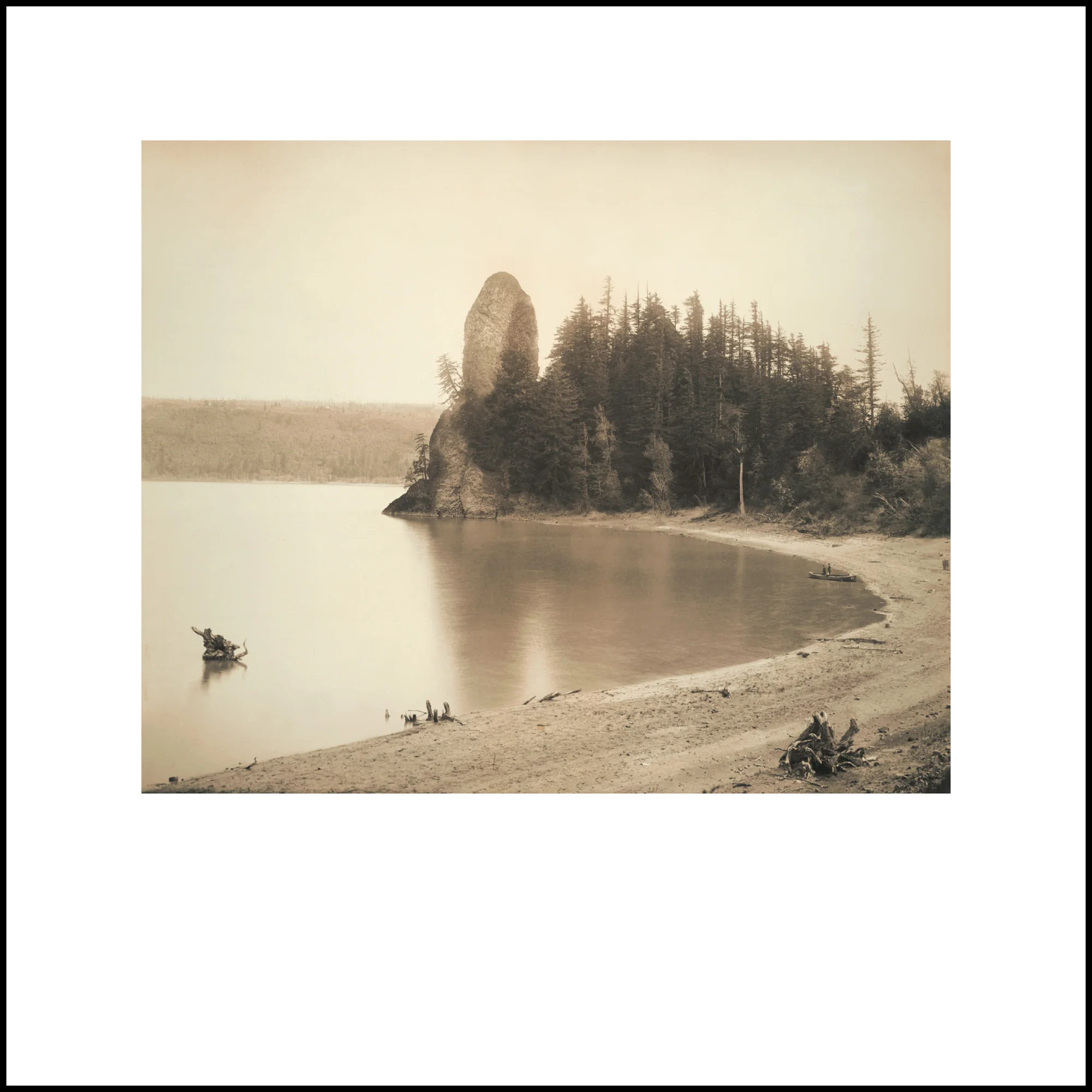 Wild Beauty, Plate 35