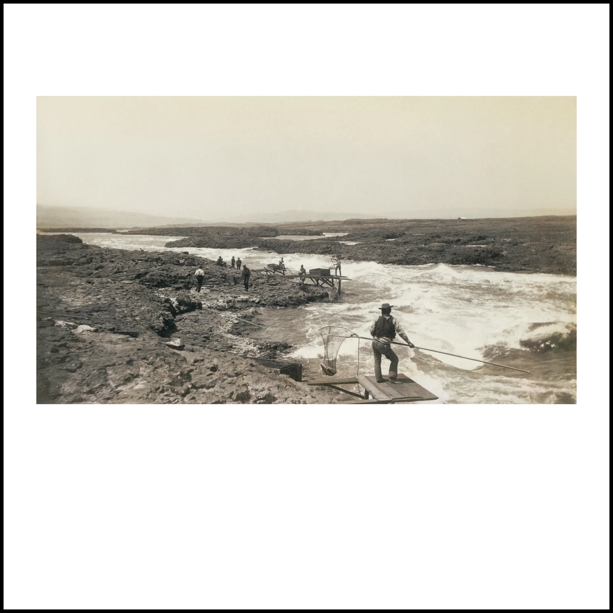 Wild Beauty, Plate 39