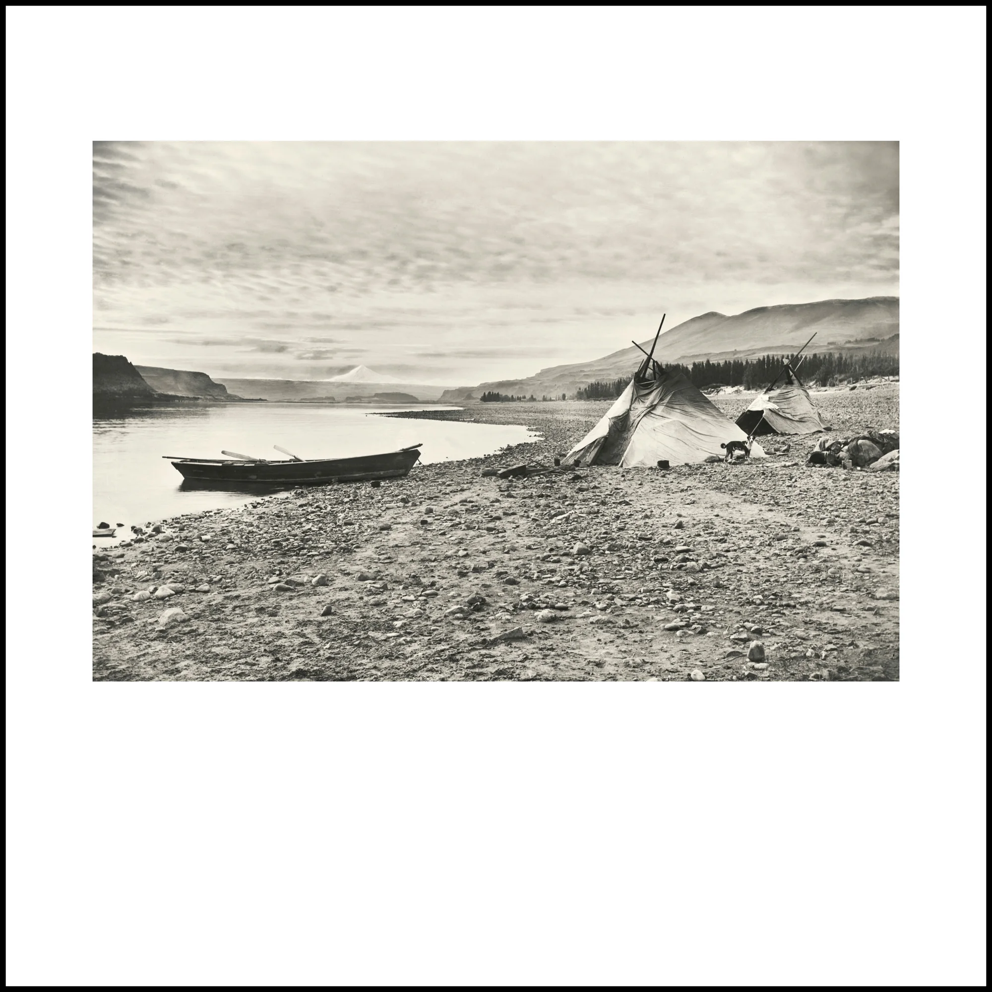 Wild Beauty, Plate 44