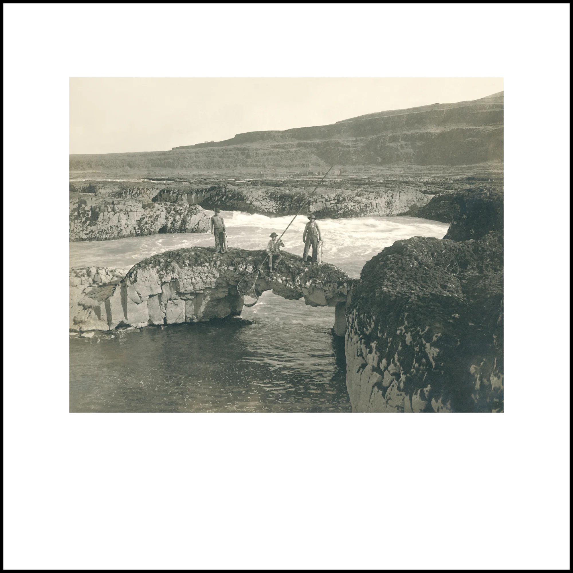 Wild Beauty, Plate 45