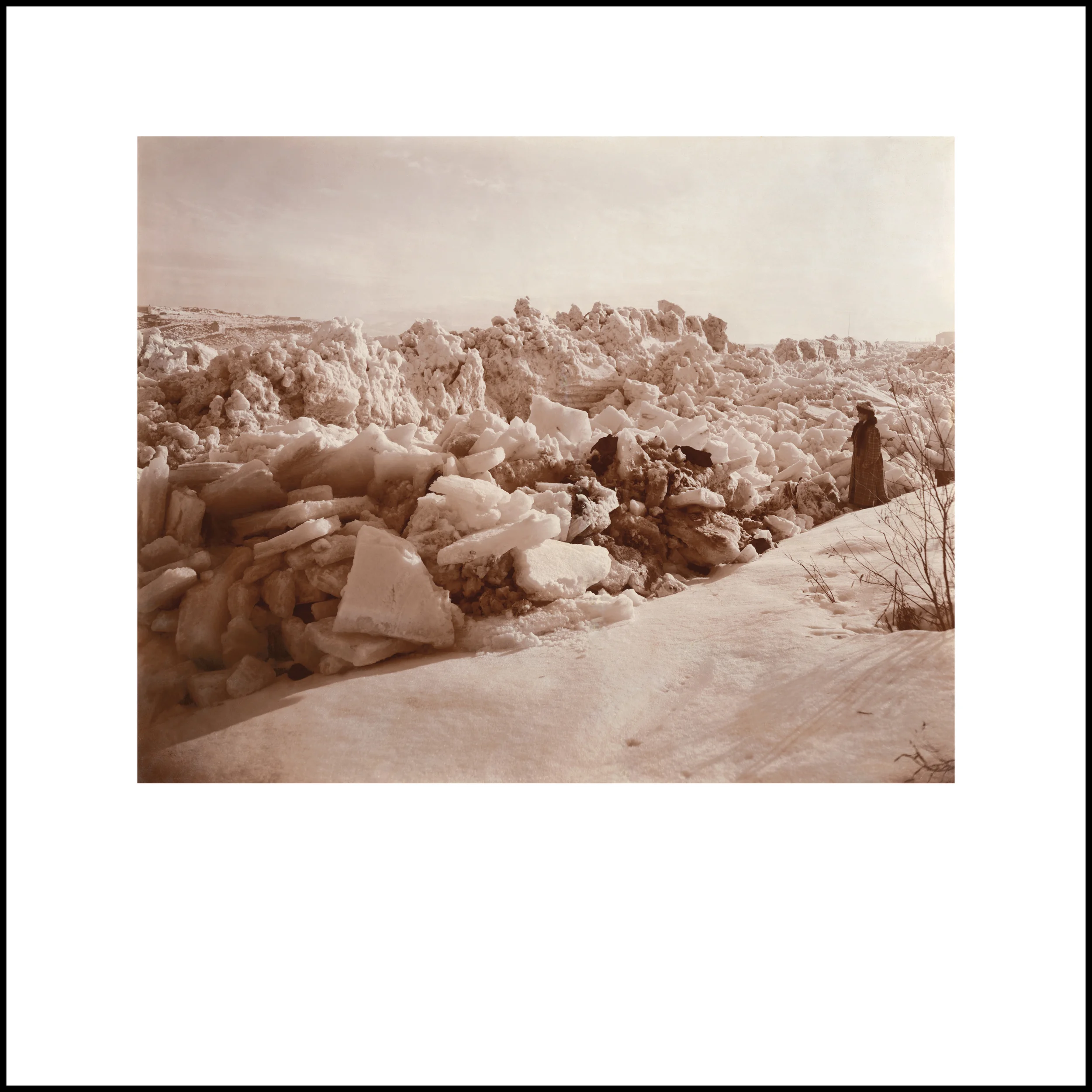 Wild Beauty, Plate 48