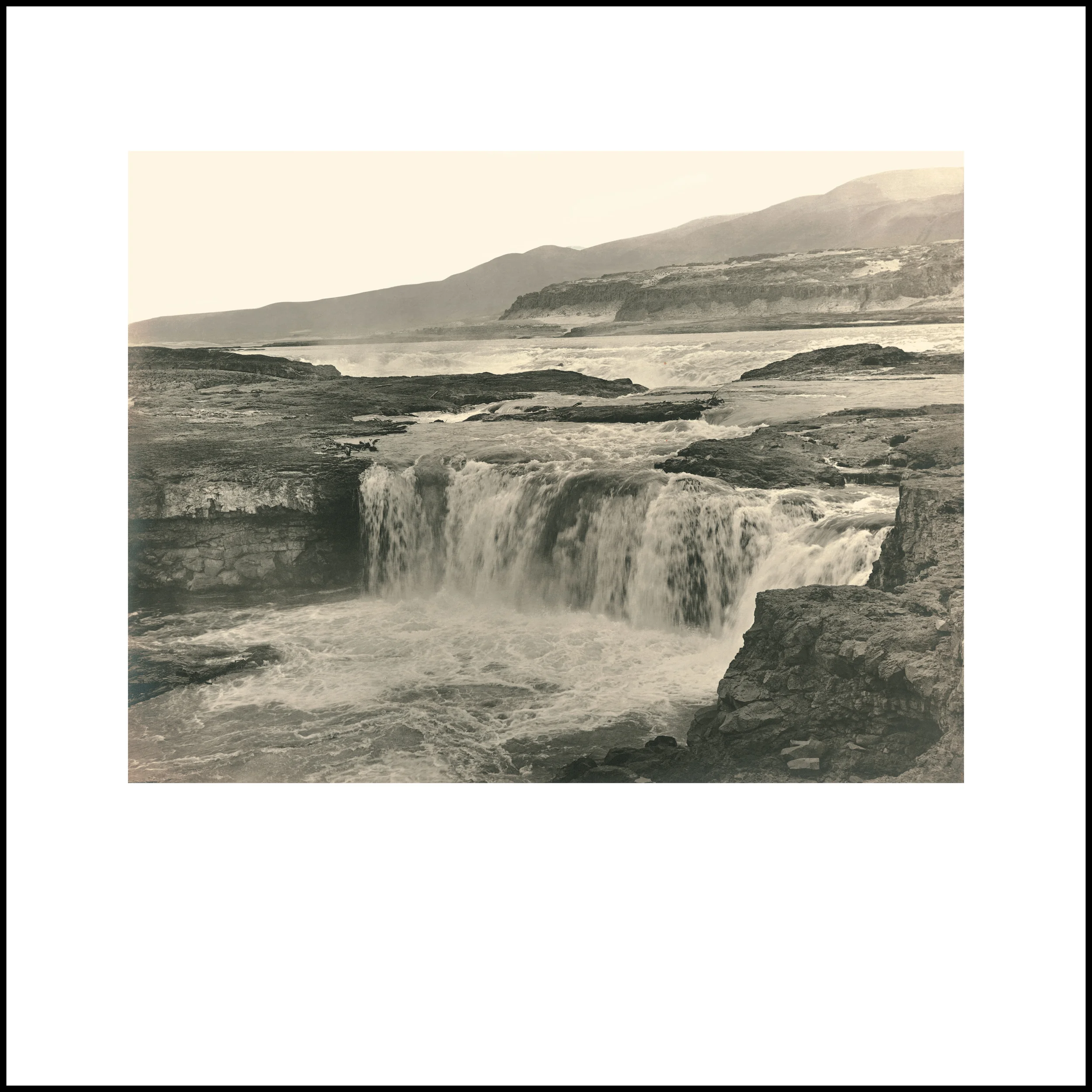 Wild Beauty, Plate 53