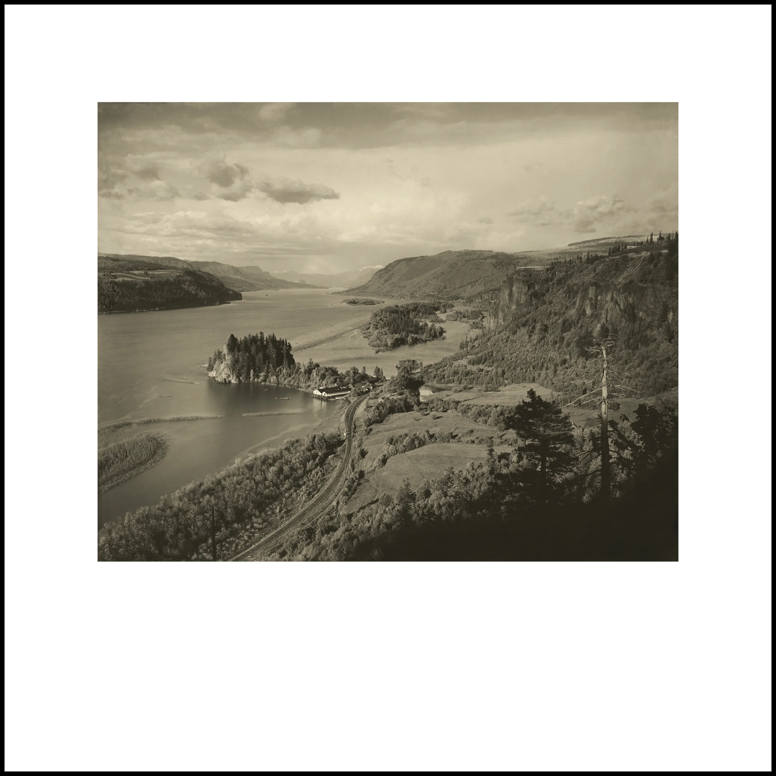 Wild Beauty, Plate 84