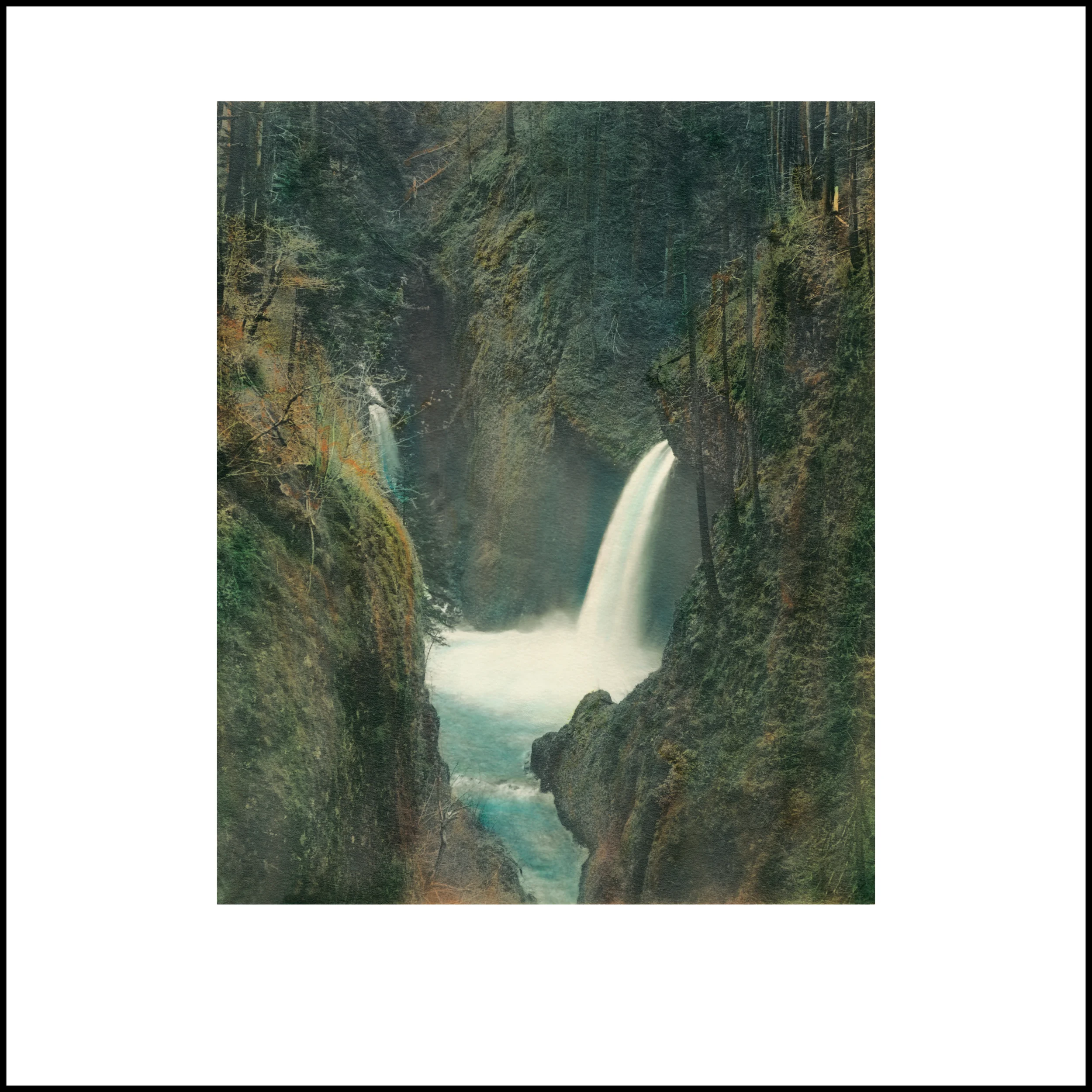 Wild Beauty, Plate 95