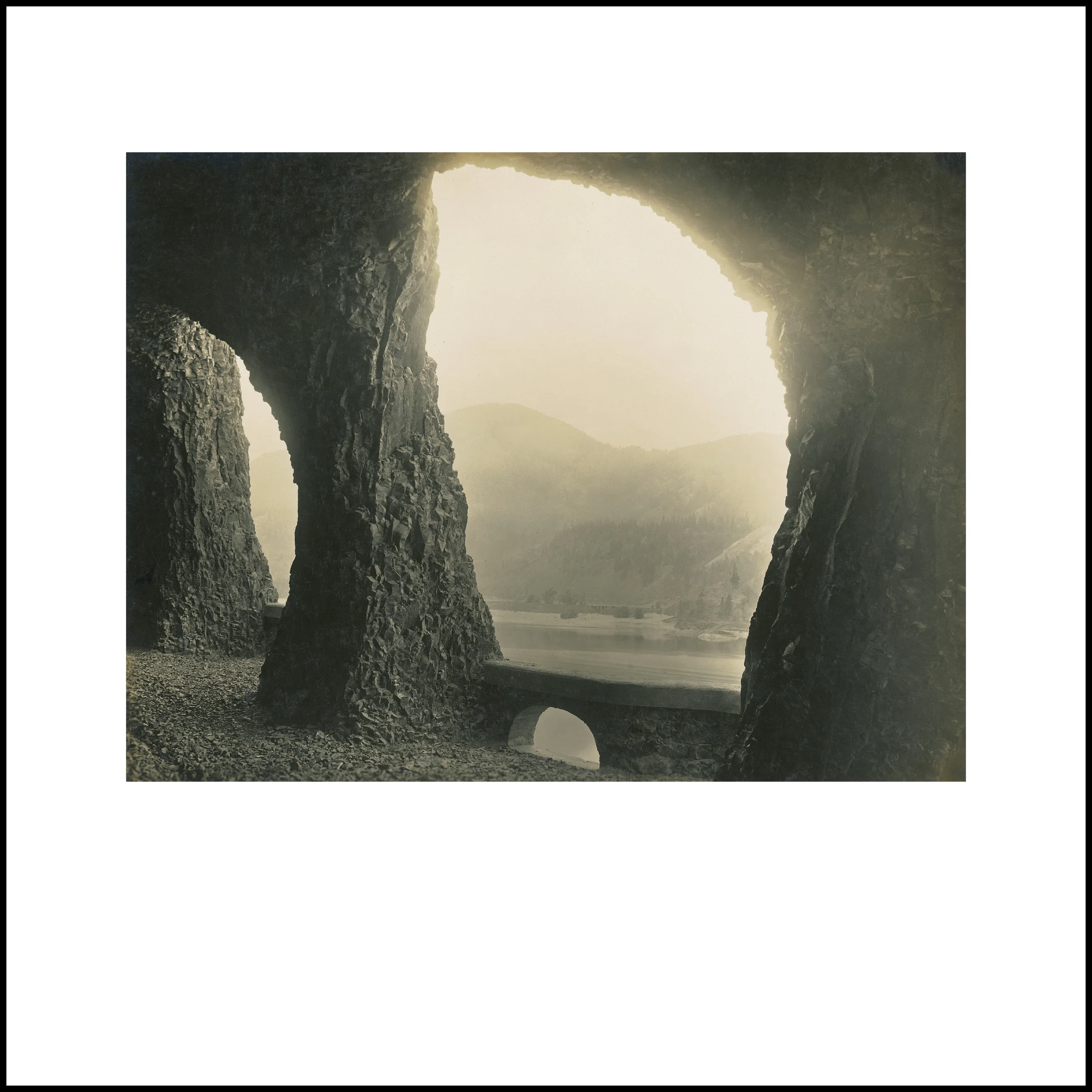 Wild Beauty, Plate 100