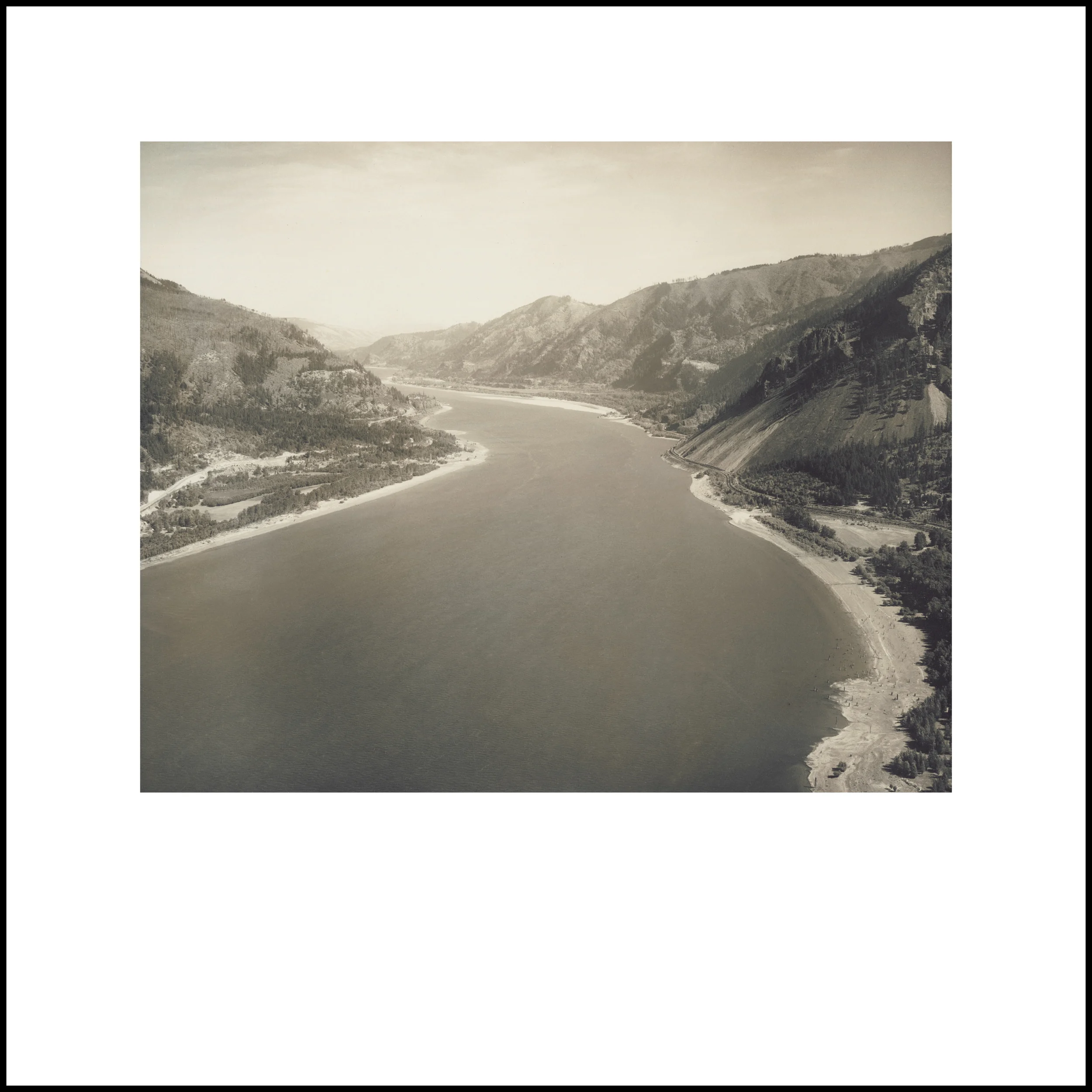 Wild Beauty, Plate 105