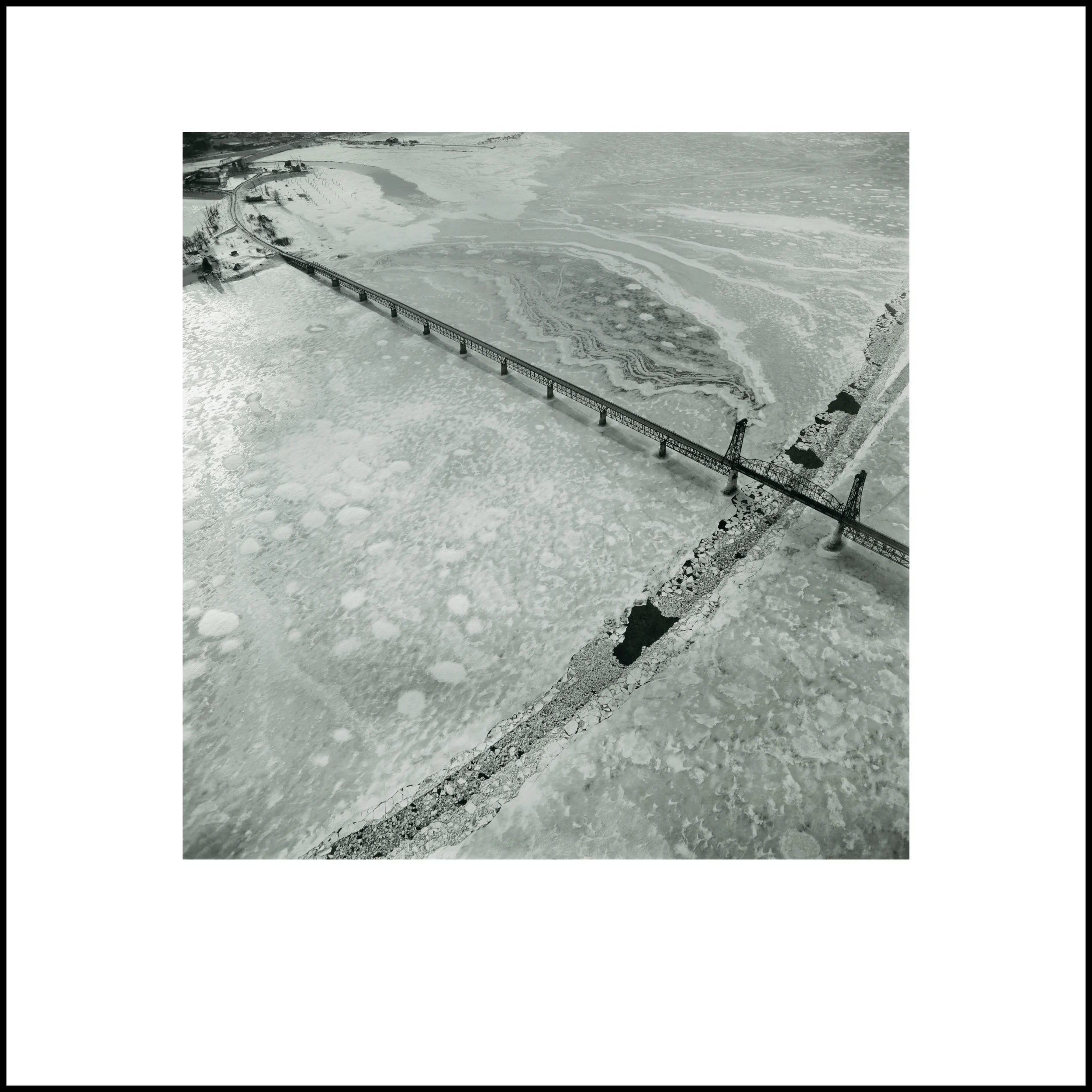 Wild Beauty, Plate 123