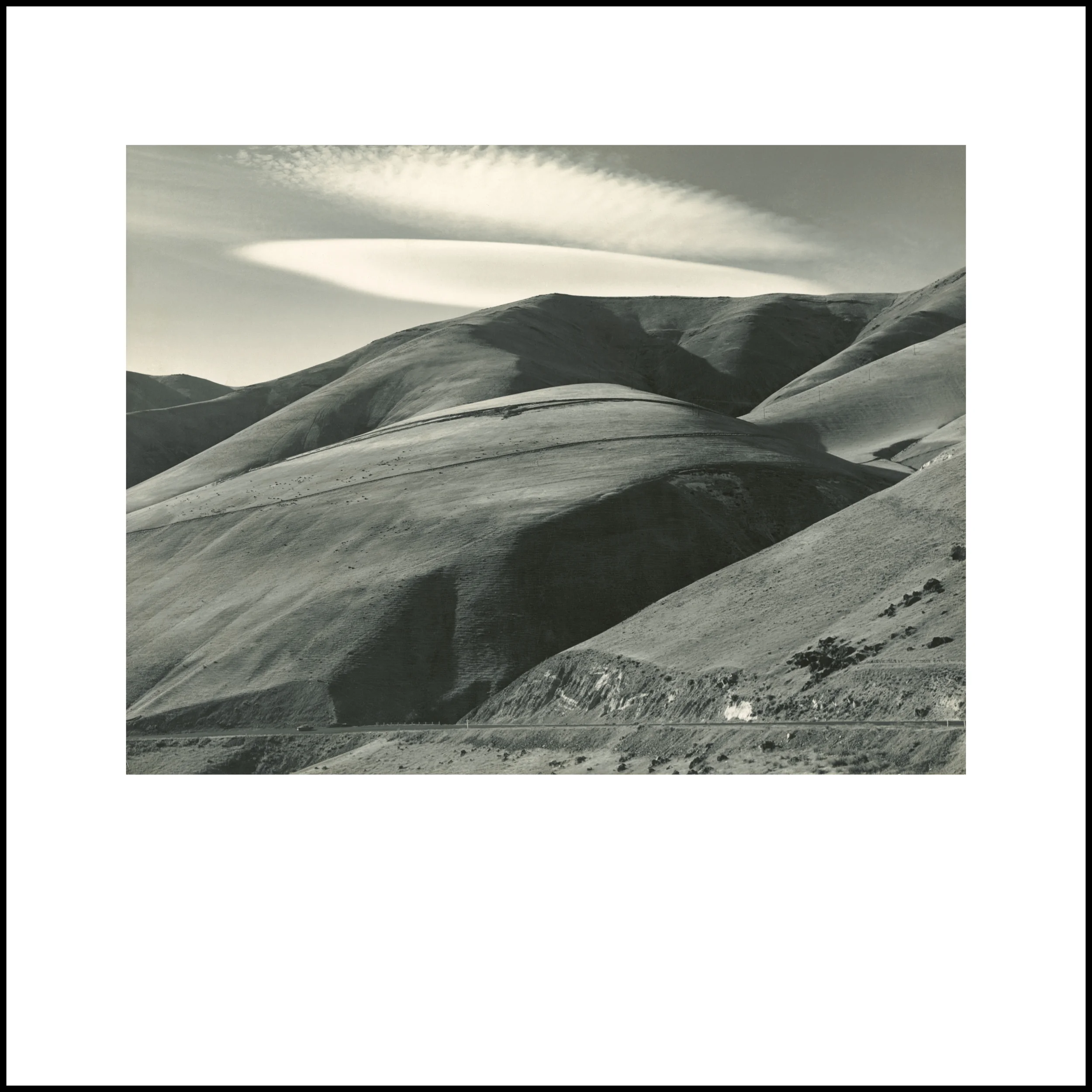 Wild Beauty, Plate 128