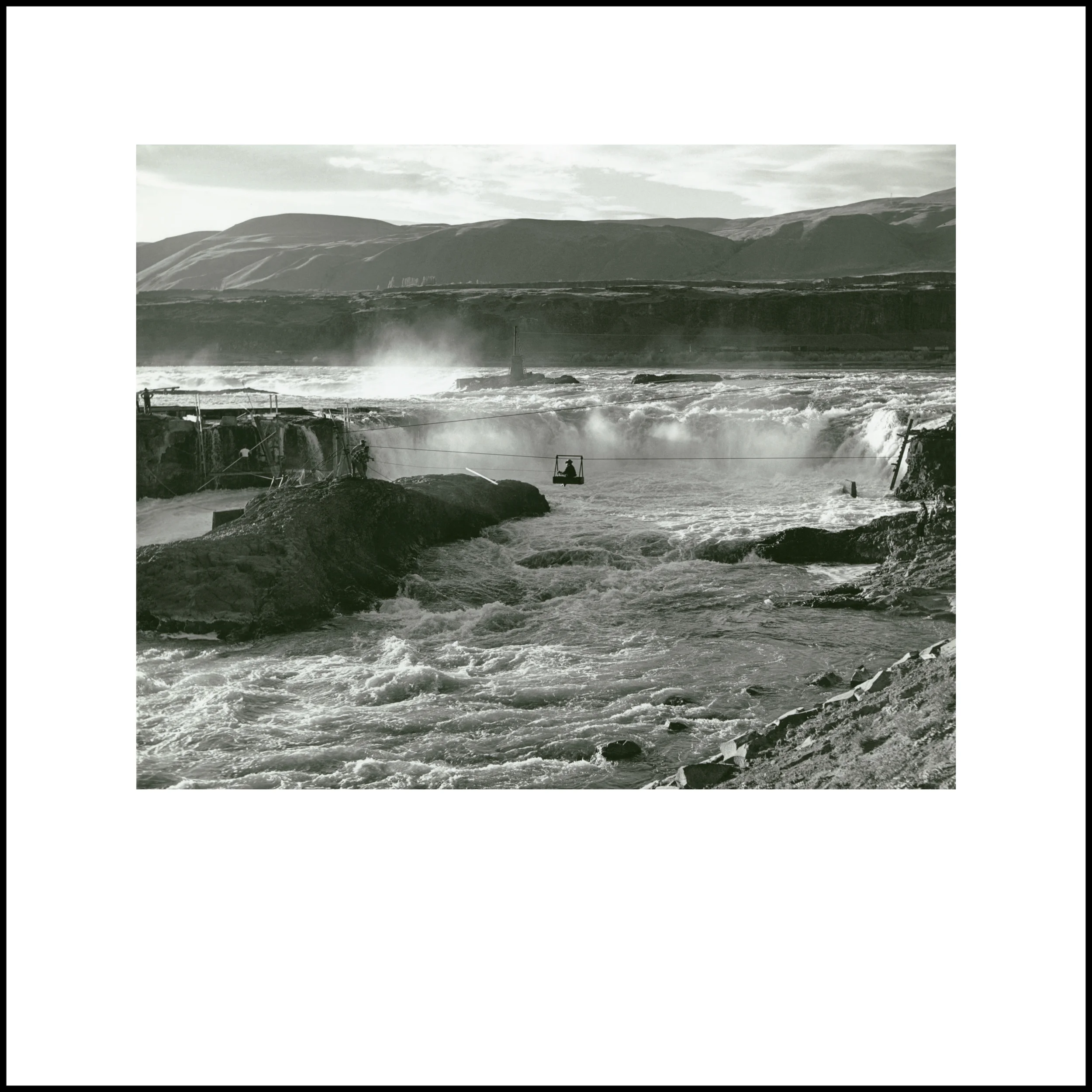 Wild Beauty, Plate 130