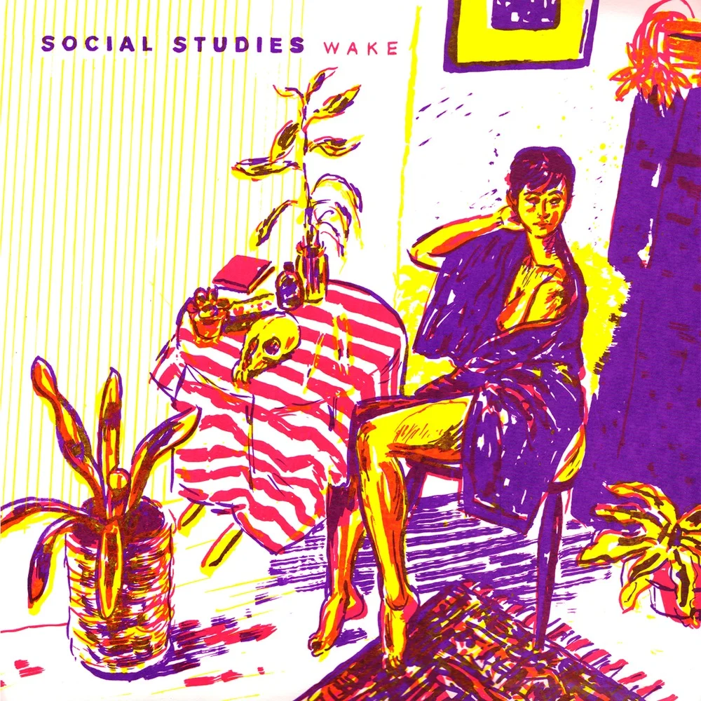 Social Studies, Wake, 2015