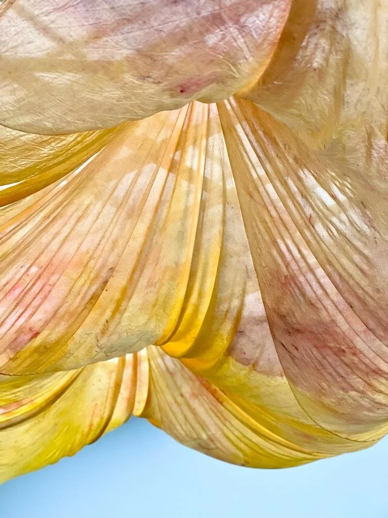 WhatsApp Image 2023-09-08 at 12.24.21.jpeg