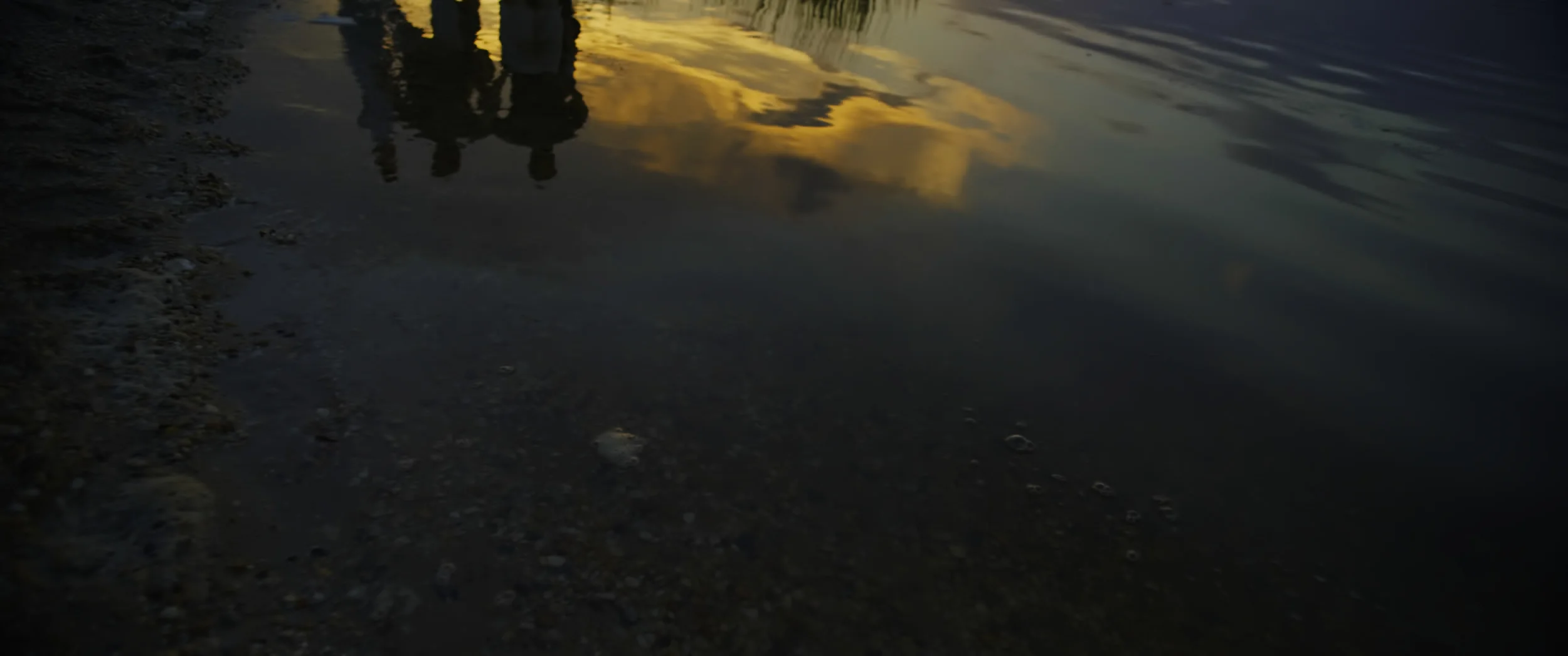 Untitled_1.4.1.jpg