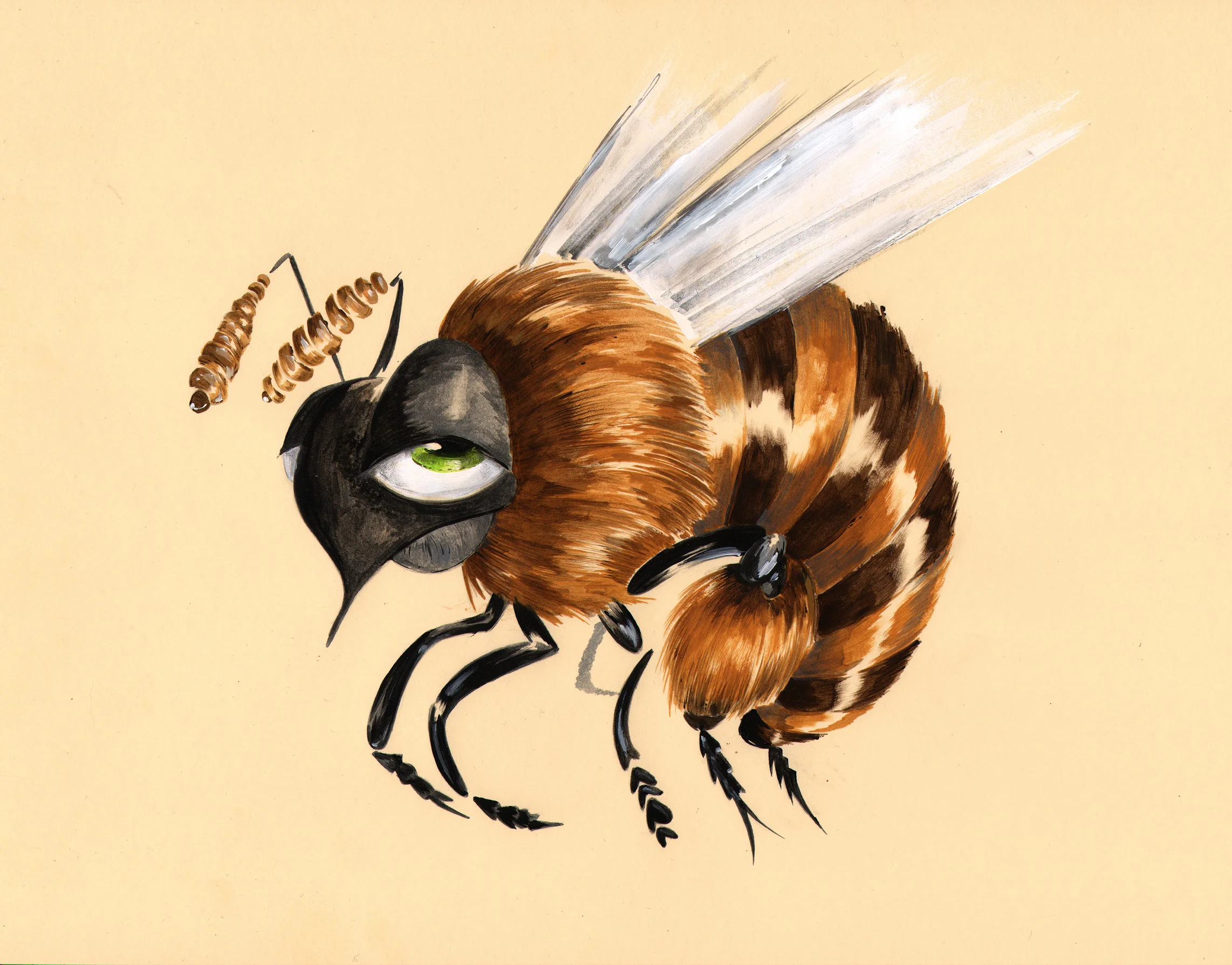 Bummerbee