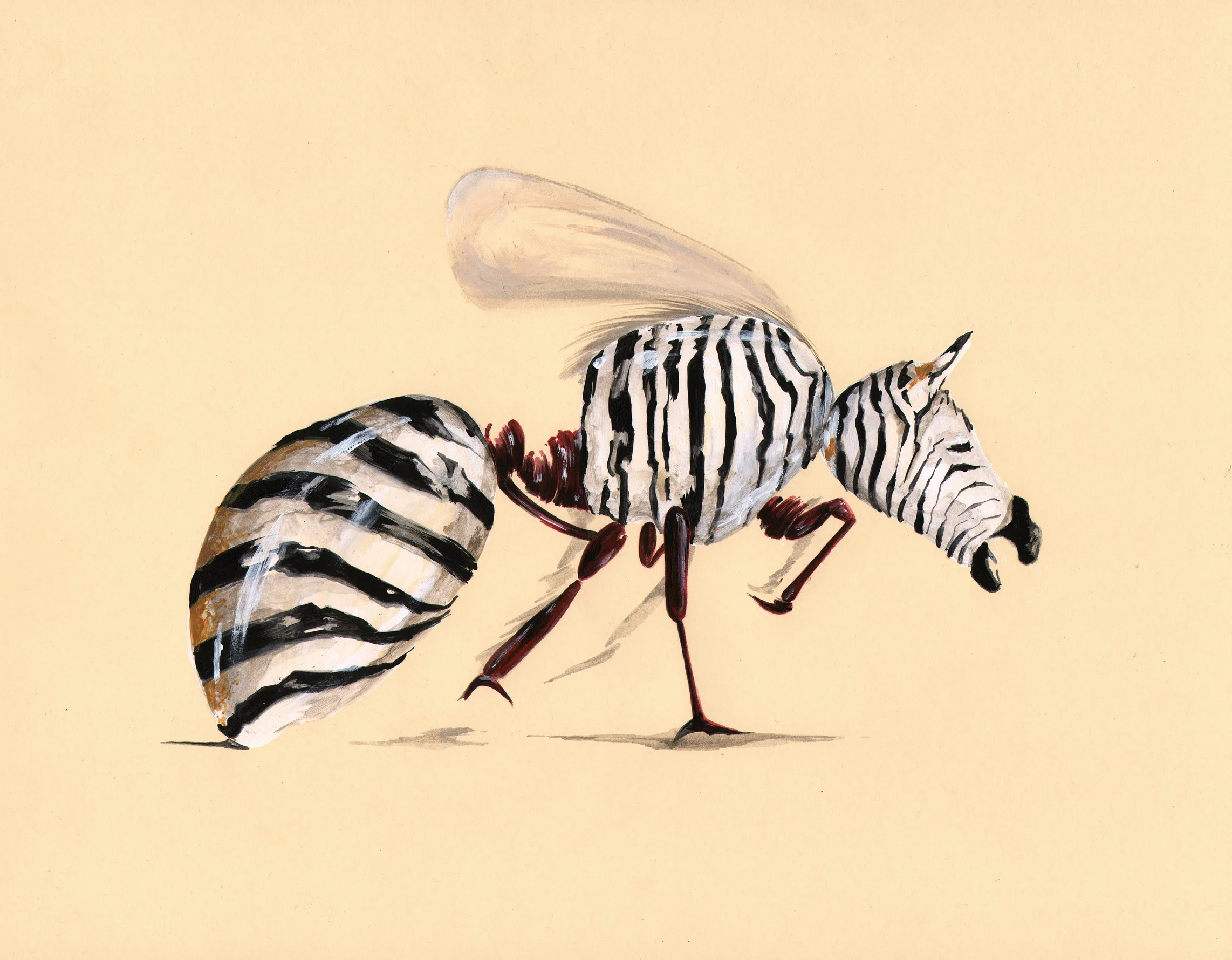 Zeeb