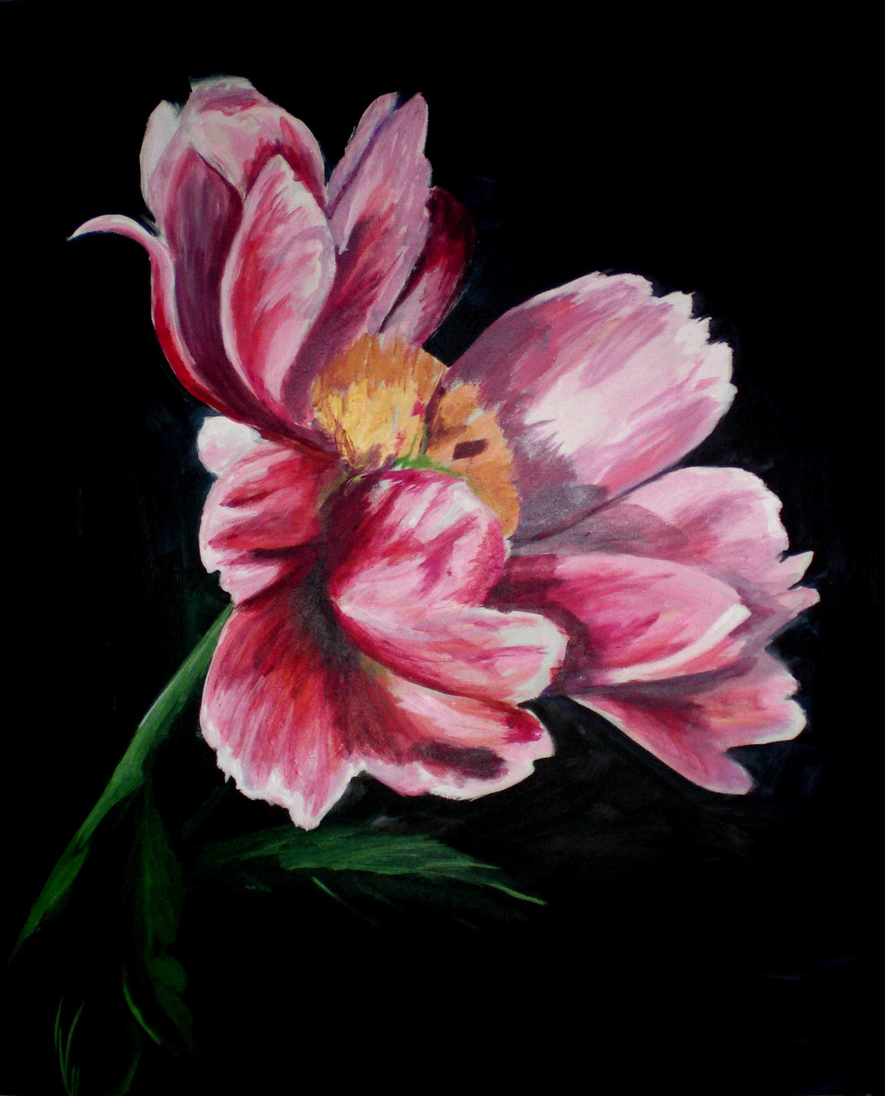 peony7.jpg