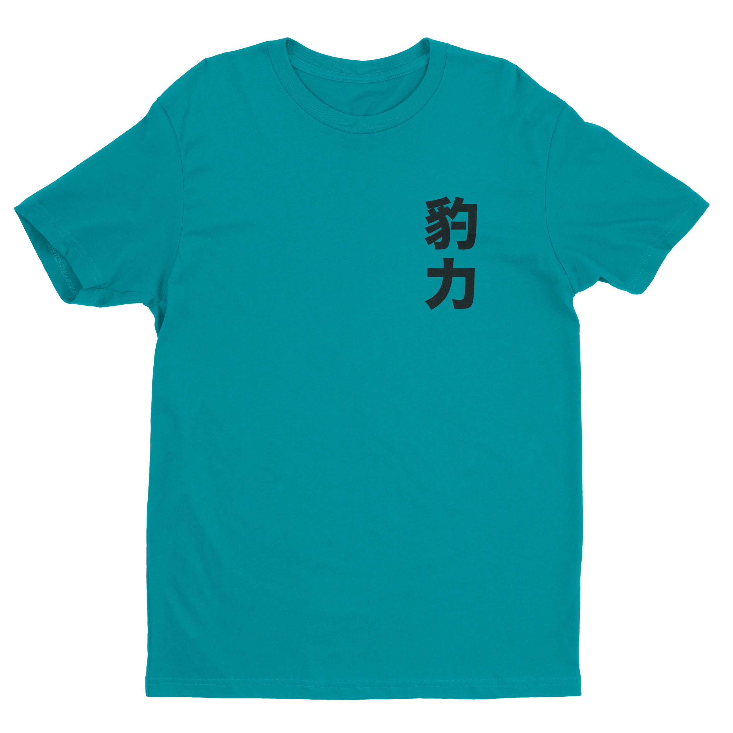 SS3-Trev-T-mockup-front-teal.png