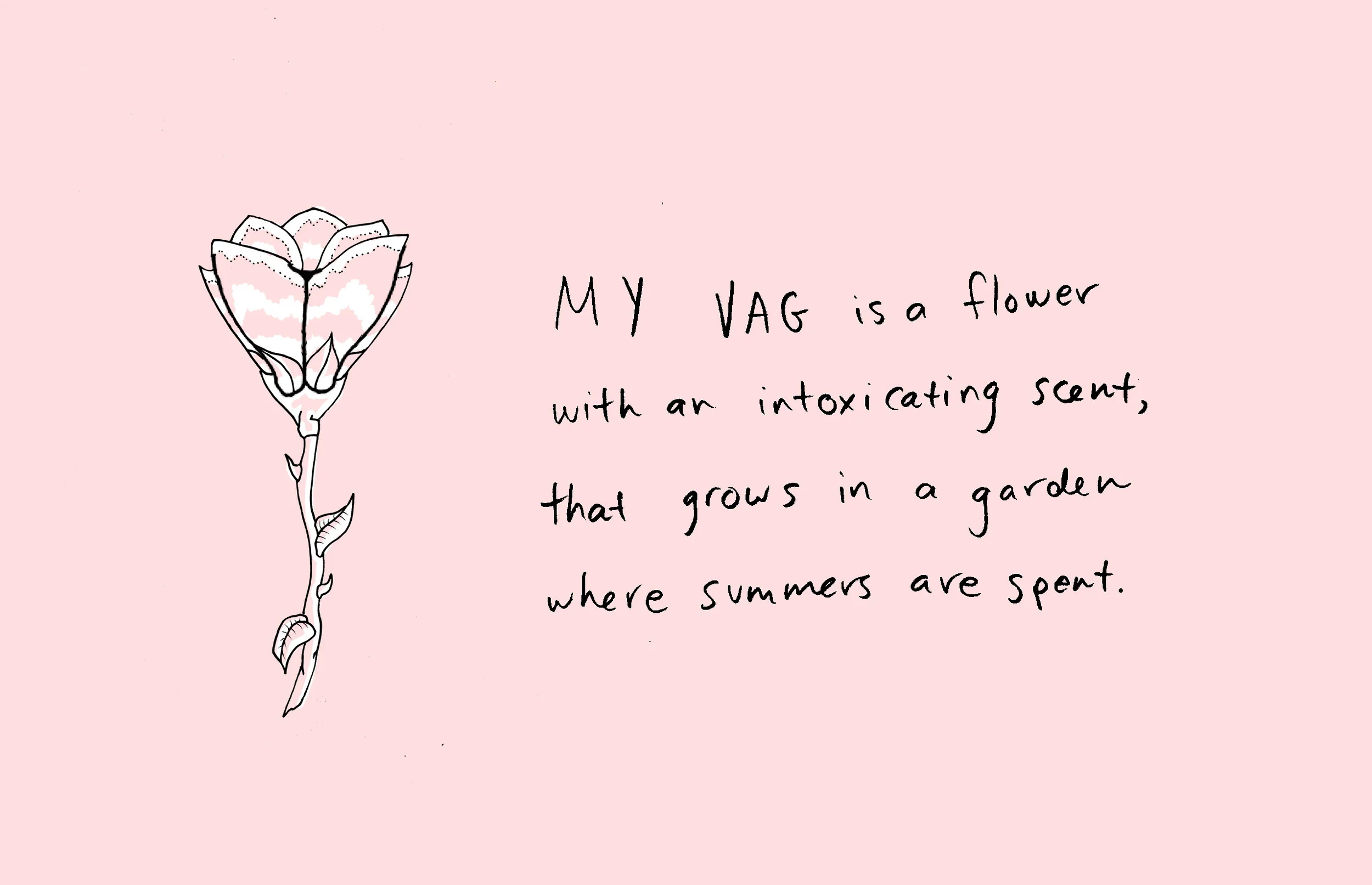 vag2.jpg