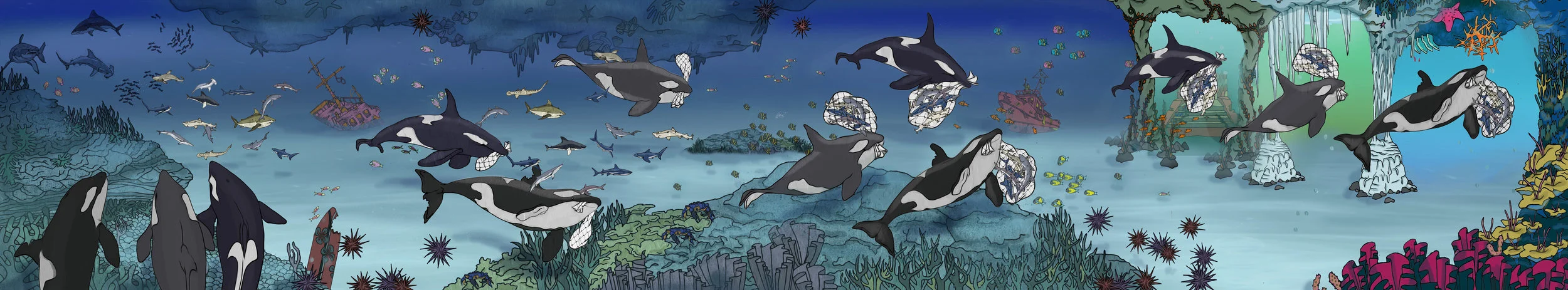 Shark Panel Edited.jpg
