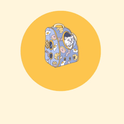 Cat-Bag_1-small.gif