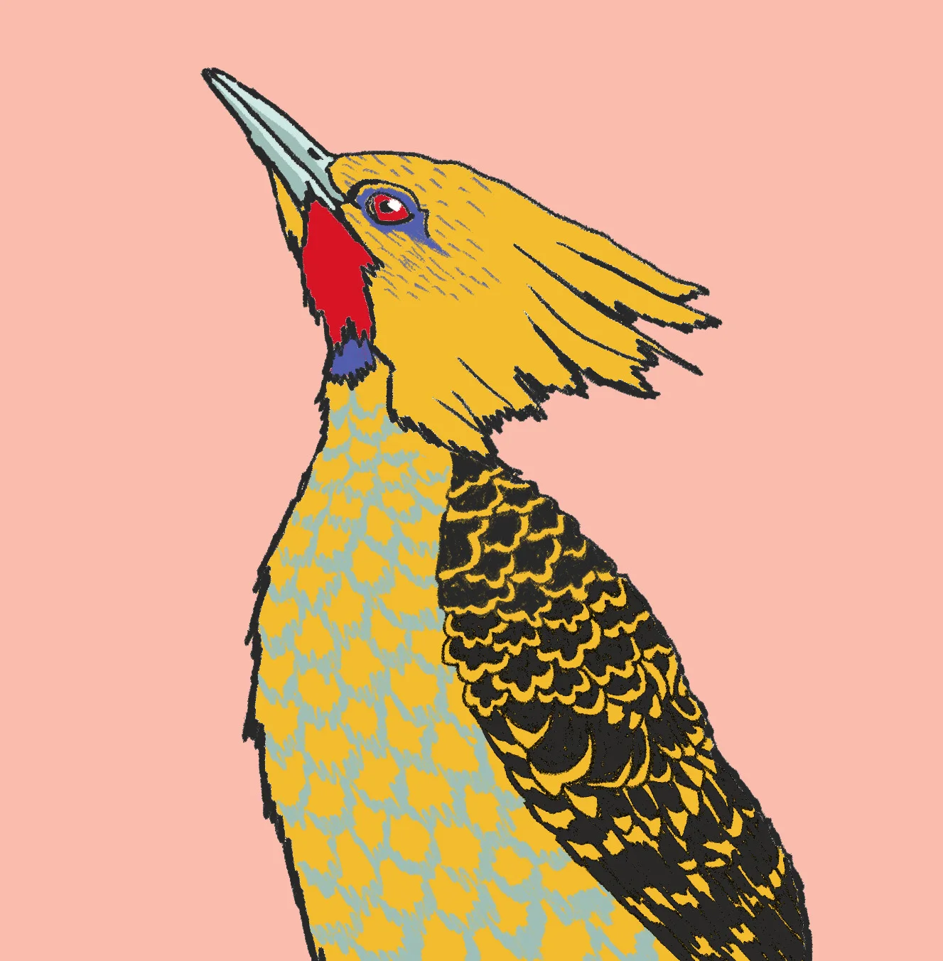 BIRD 2.jpg