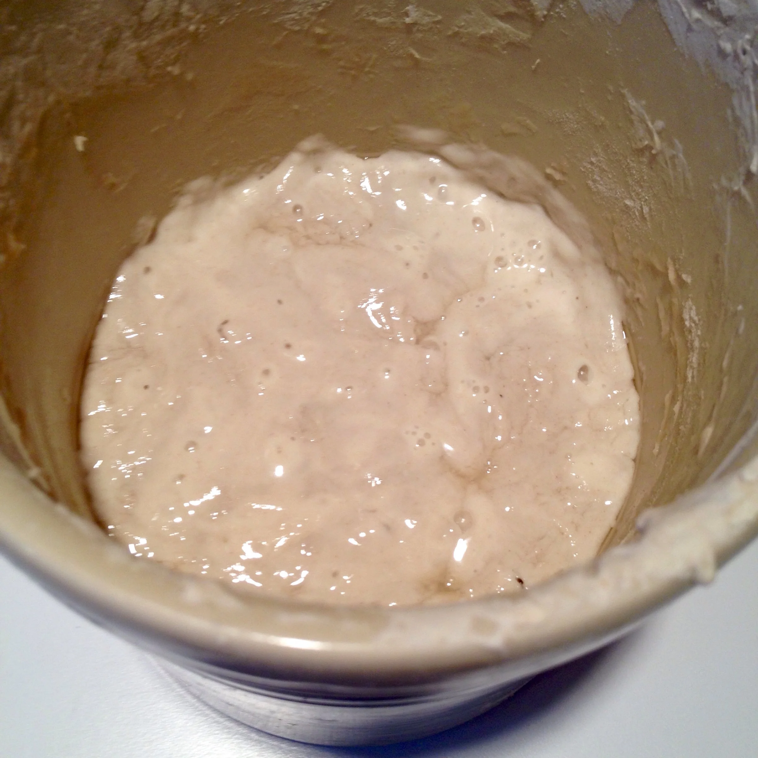 How to keep your sourdough starter happy