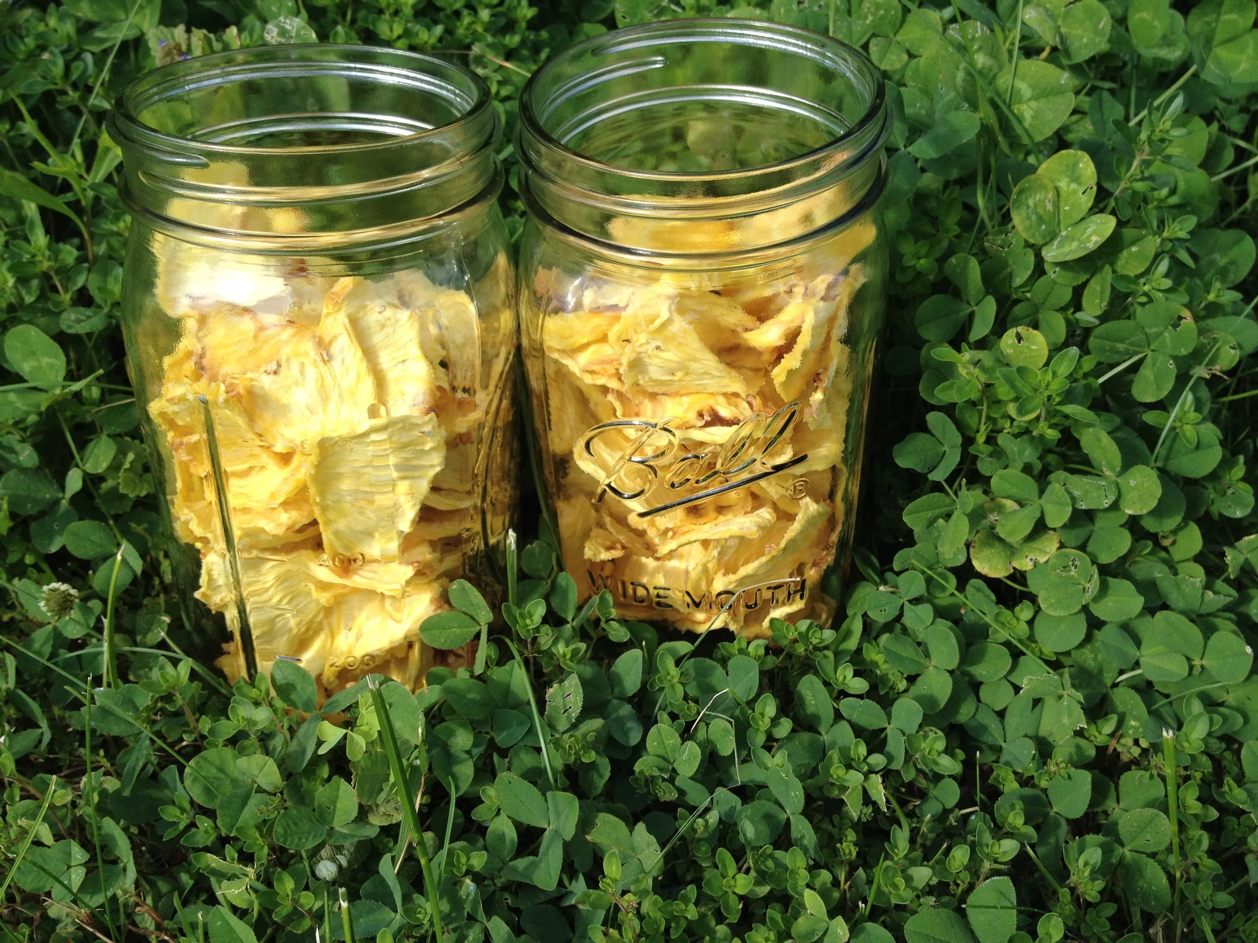 Dehydrated Pineapple Snacks You Won't Be Able to Resist