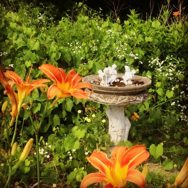  An oasis in the far garden. This bird bath cracked in the cold one winter, so it leaks. Instead of replacing it, I filled it with pea stone and native moss, so it holds some water for the bees. 