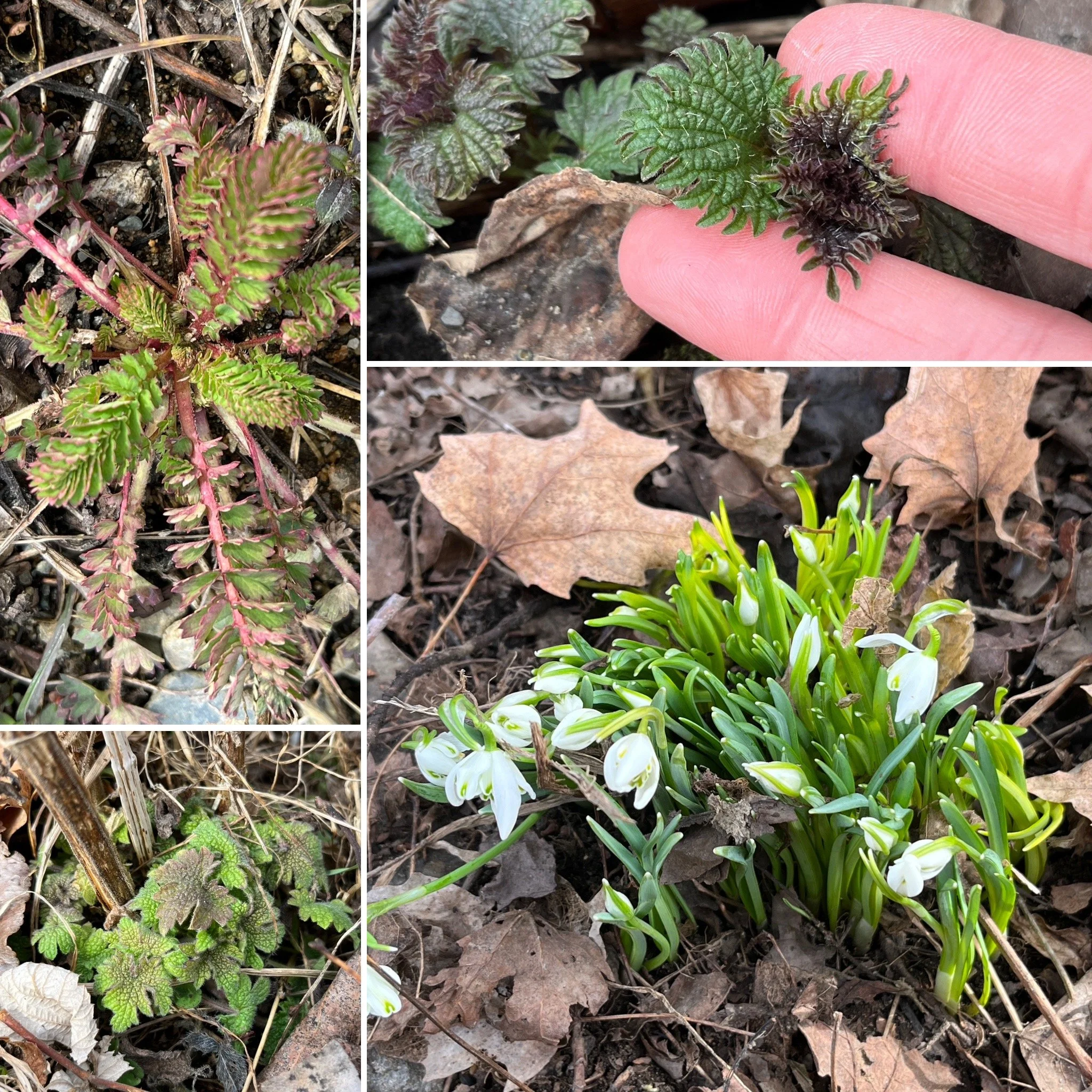 It’s April, Fools!!