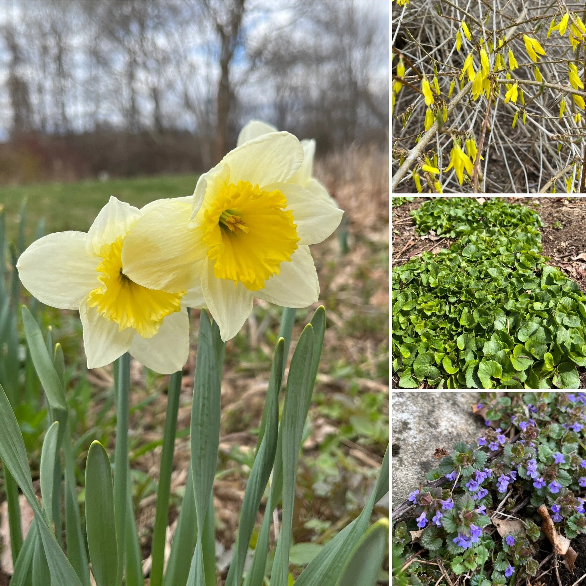 Everything’s Coming Up!