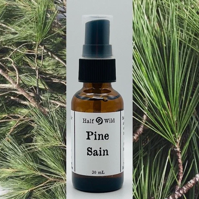 Pine Sain | Grounding