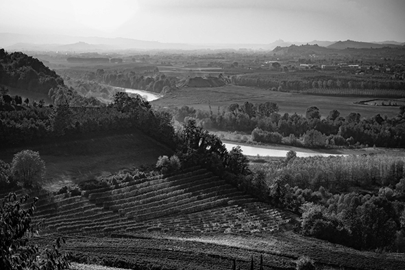 Vista de Barbaresco